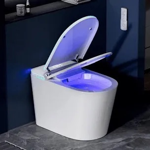 Smart Toilet With Bidet, Bidet Toilet With Heated Seat And Night Light