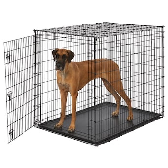 Mid-West Metal Products 53.75-ft L x 36-ft W x 45-ft H Dog Crate