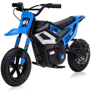 Garvee Electric Dirt Bike for Teens,350W Electric Motorcycle with 24V Battery,14MPH Top Speed,Blue