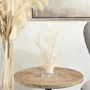 Watchet Polystone Coral Decorative Cream Sculpture