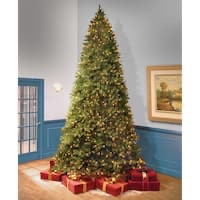 national tree company 12 ft. downswept douglas fir tree with clear lights - 12 foot ( box 2/2 ) 