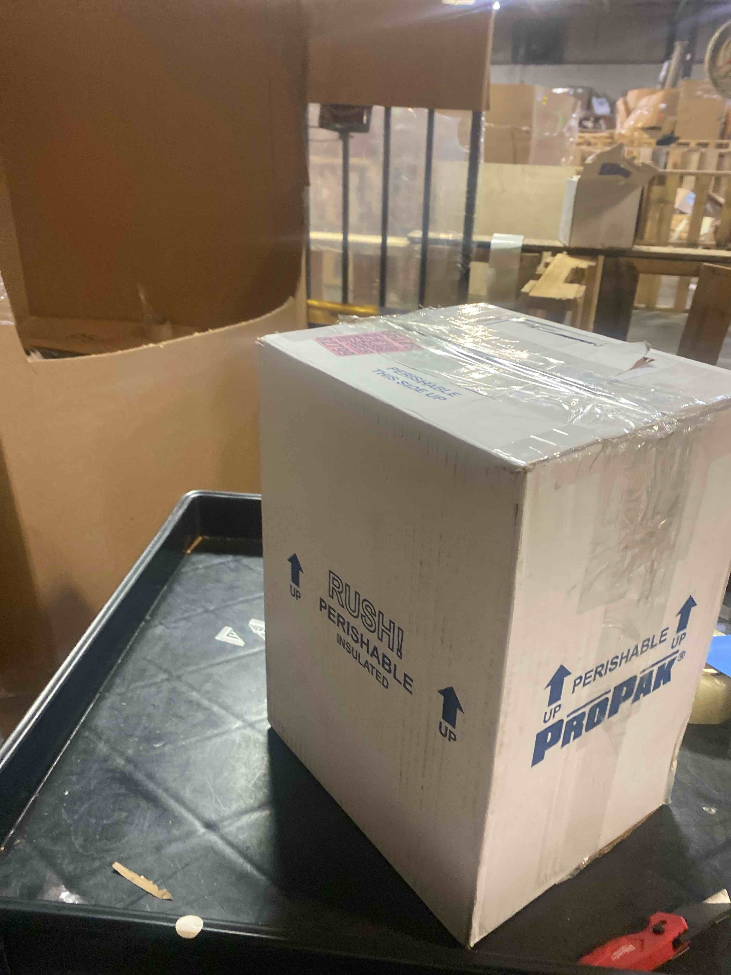 https://s3.amazonaws.com/lotting-images-prod/phillipi/PPE2327931_1753203400108.jpeg