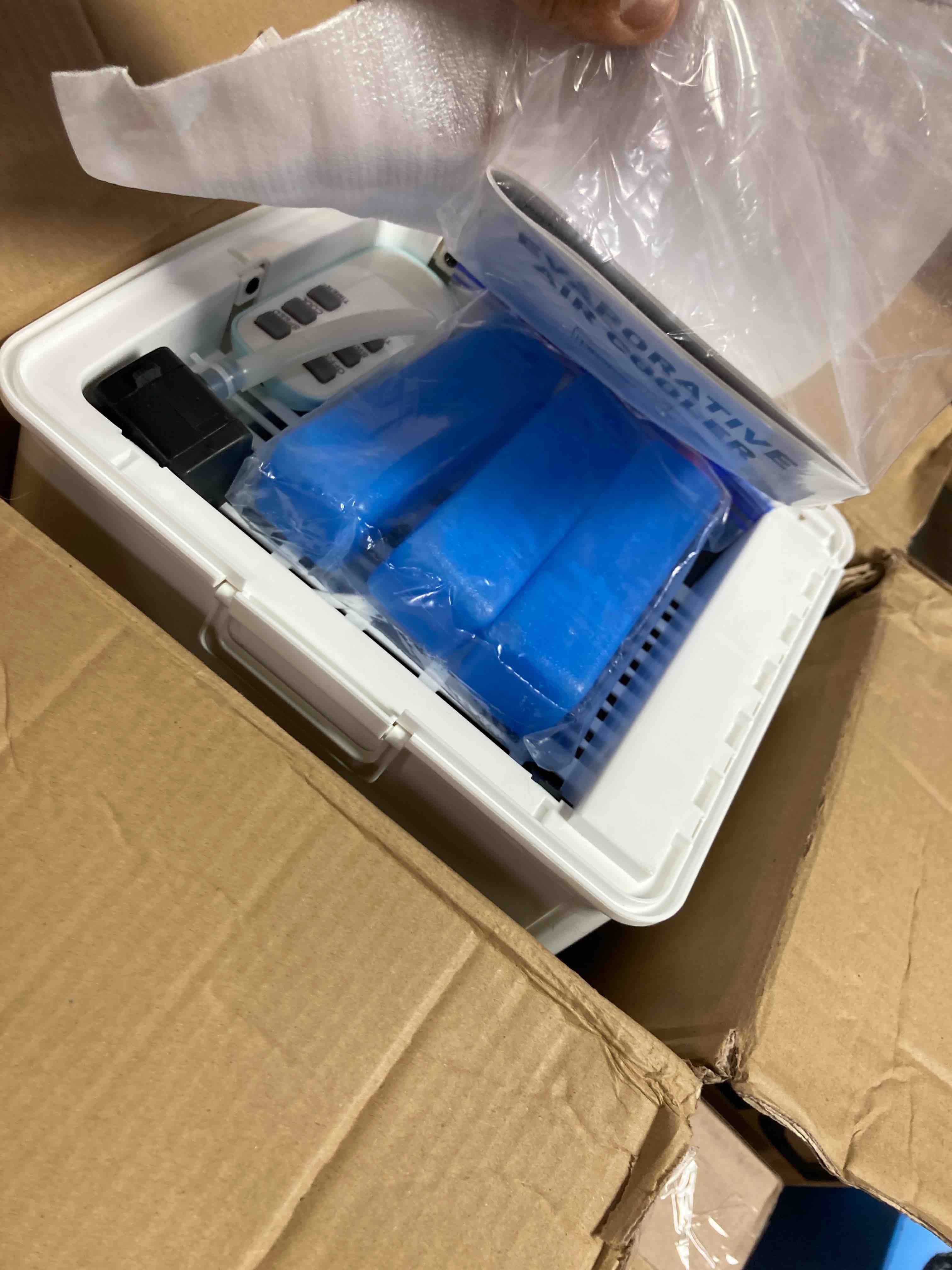 https://s3.amazonaws.com/lotting-images-prod/phillipi/PPE2328121_1753805471472.jpeg