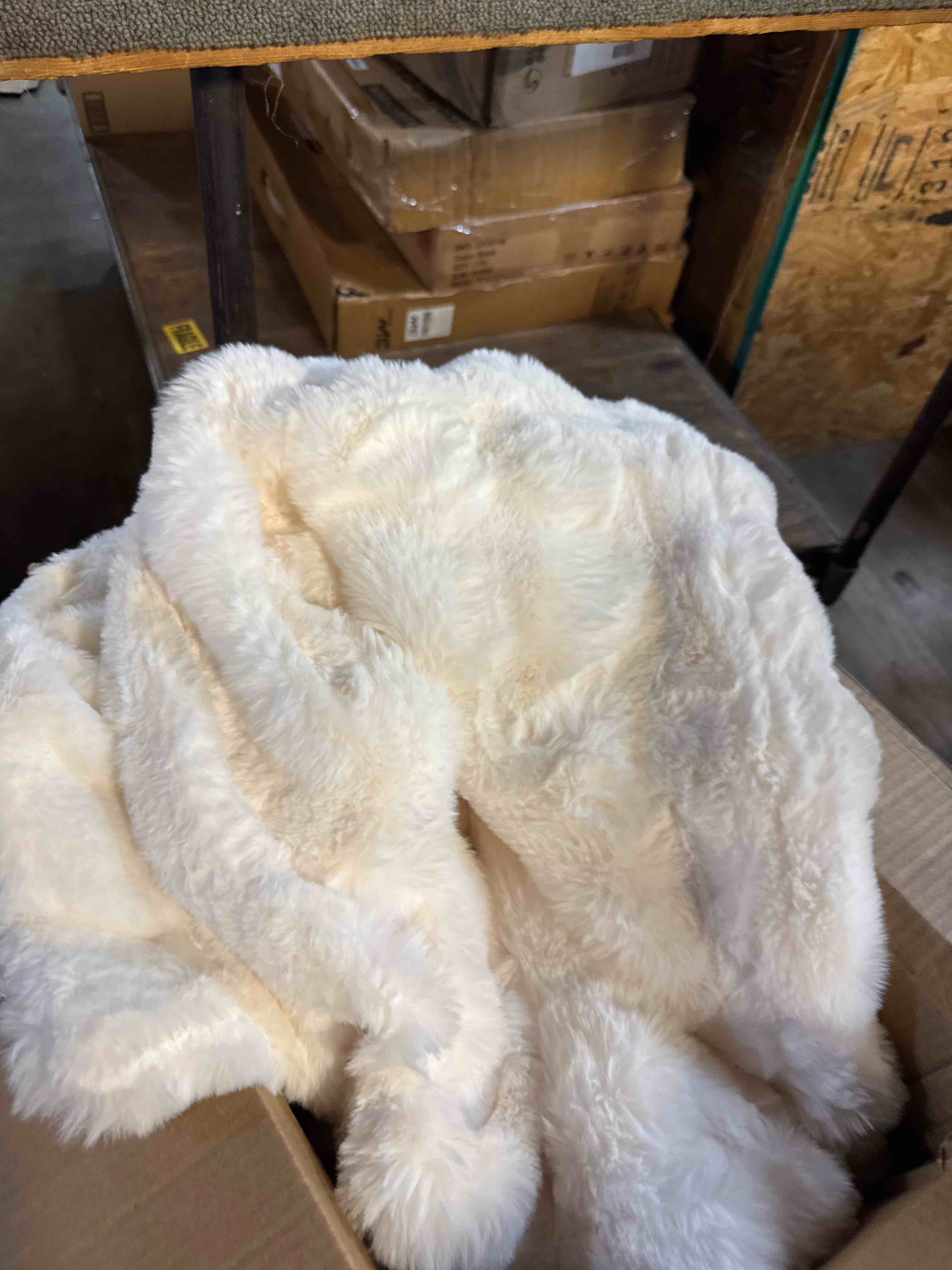 https://s3.amazonaws.com/lotting-images-prod/phillipi/PPE2328771_1757088523354.jpeg
