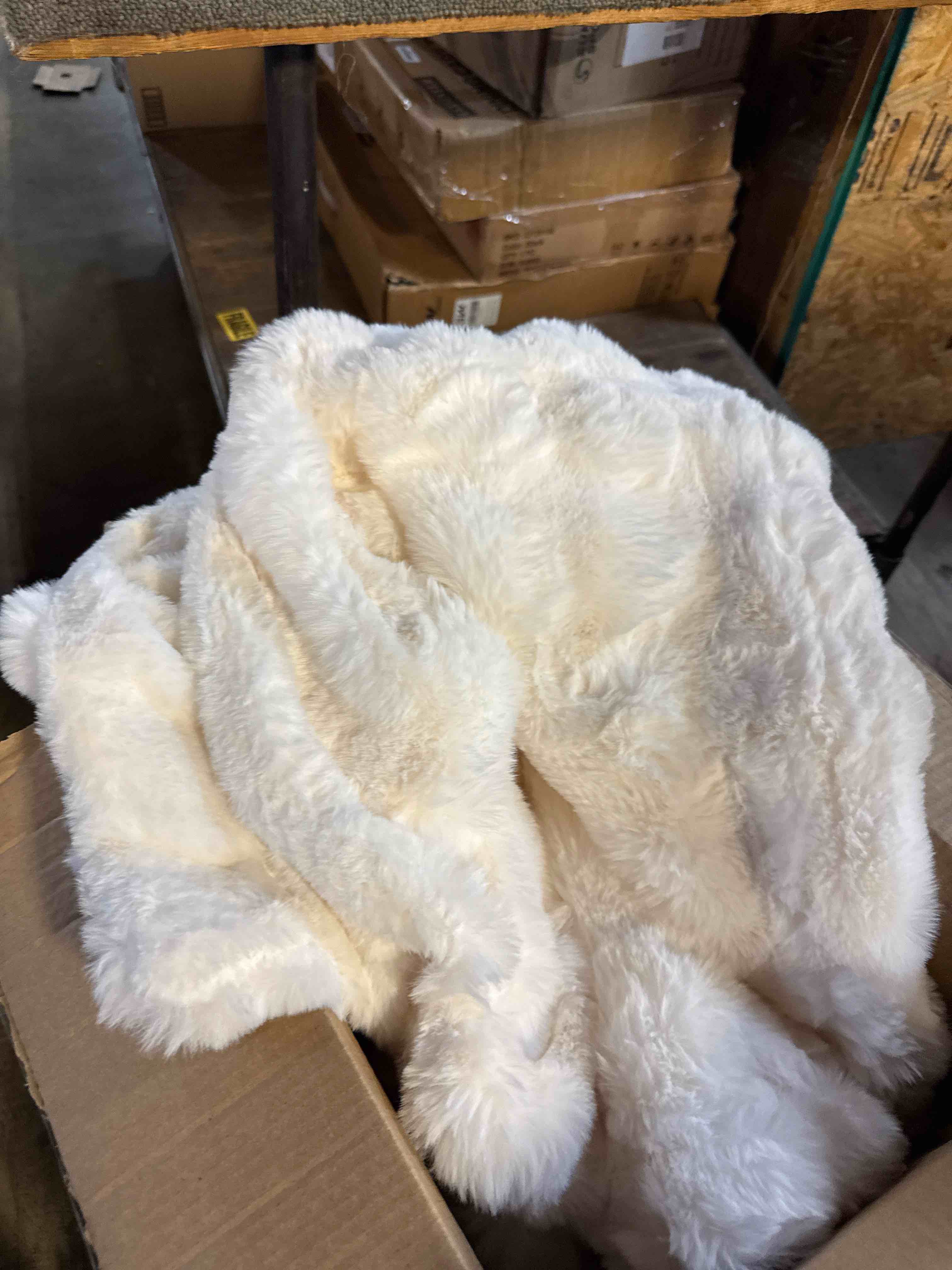 https://s3.amazonaws.com/lotting-images-prod/phillipi/PPE2328771_1757088524463.jpeg