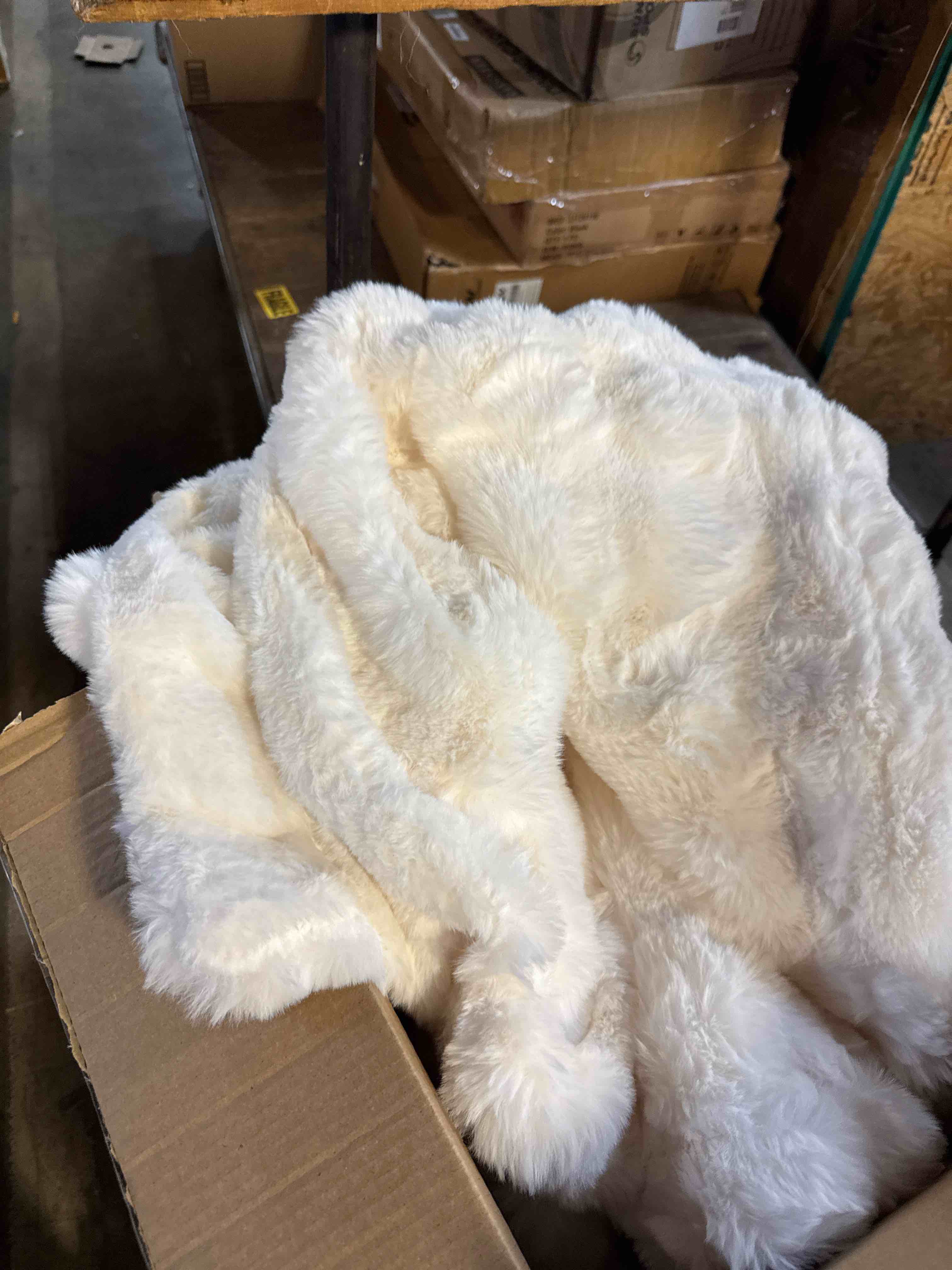 https://s3.amazonaws.com/lotting-images-prod/phillipi/PPE2328771_1757088525285.jpeg