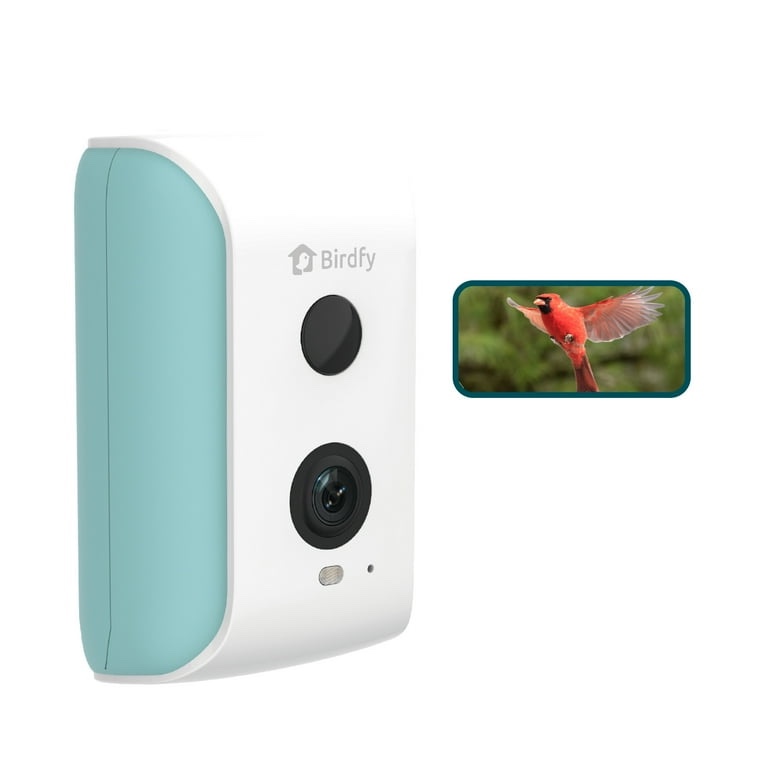 Birdfy Smart Bird Feeder Camera for Wild Bird Watching & Recording – Wall & Pole Mount Compatible, Cyan
