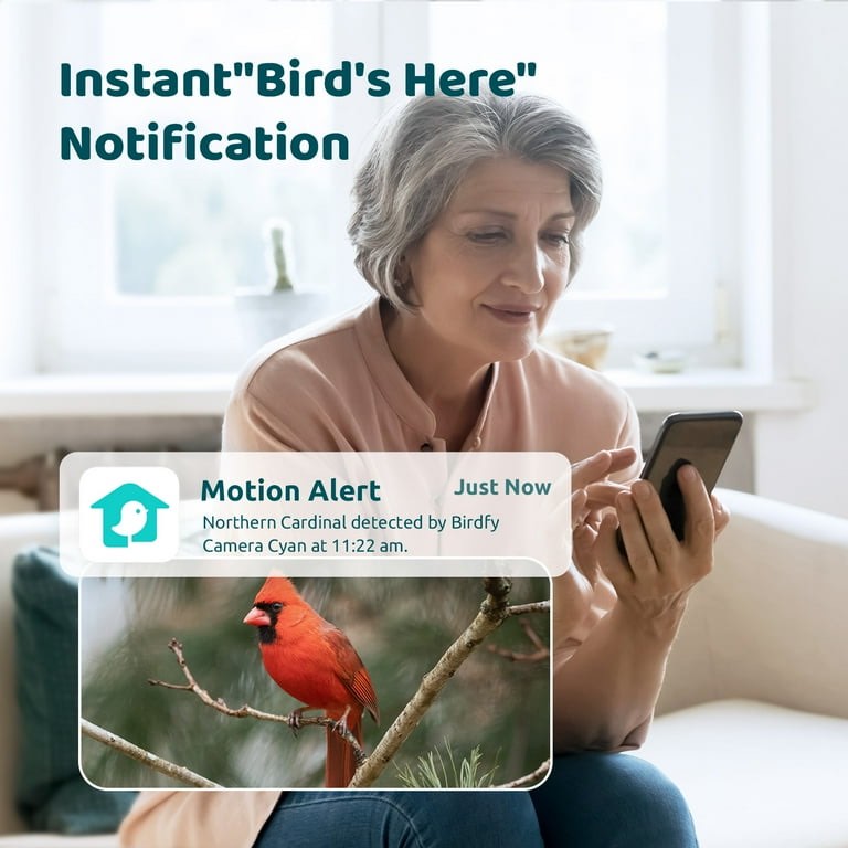 https://s3.amazonaws.com/lotting-images-prod/phillipi/PPE2330731_1752158866816.jpeg