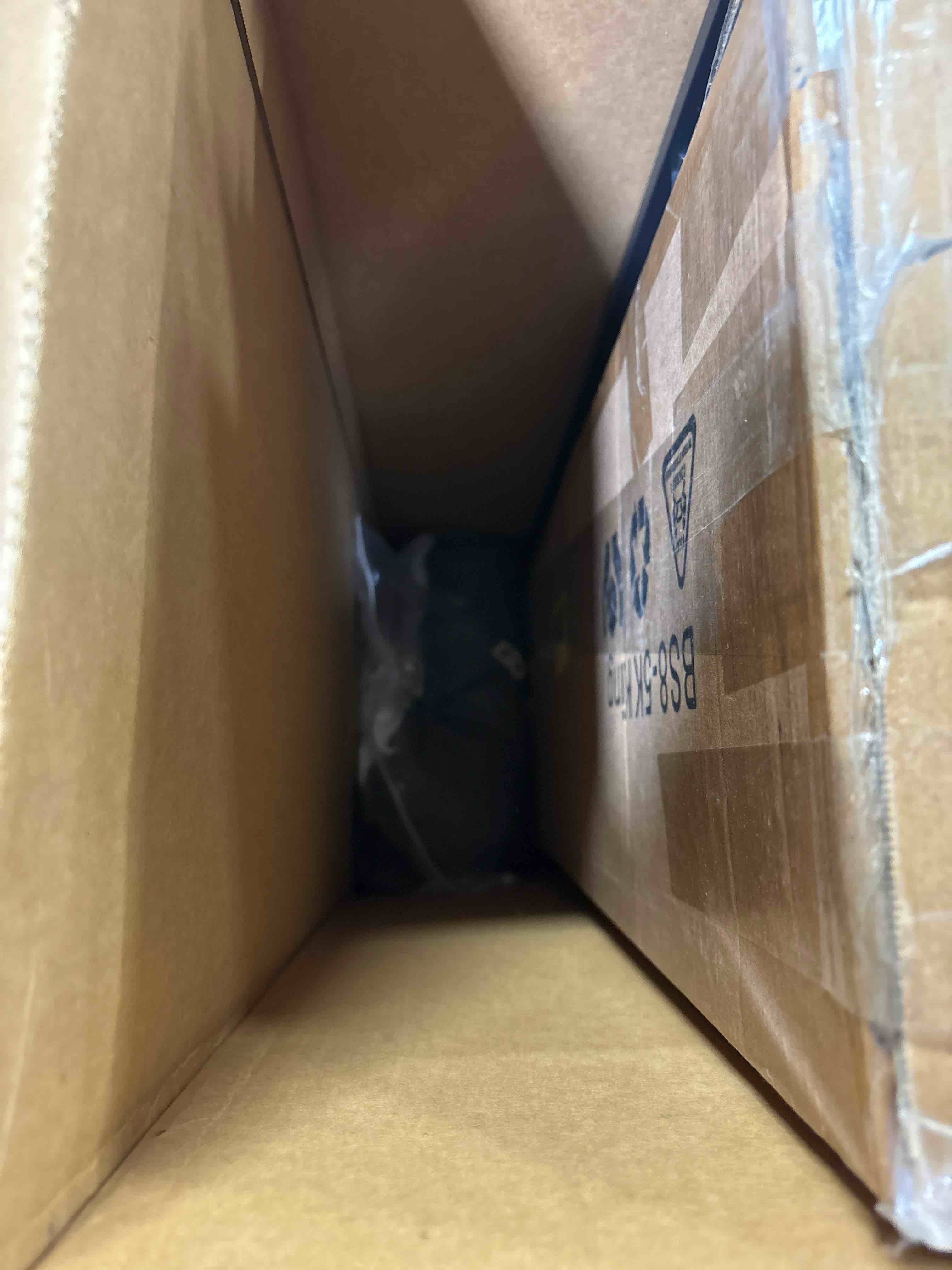 https://s3.amazonaws.com/lotting-images-prod/phillipi/PPE2331360_1755274433824.jpeg