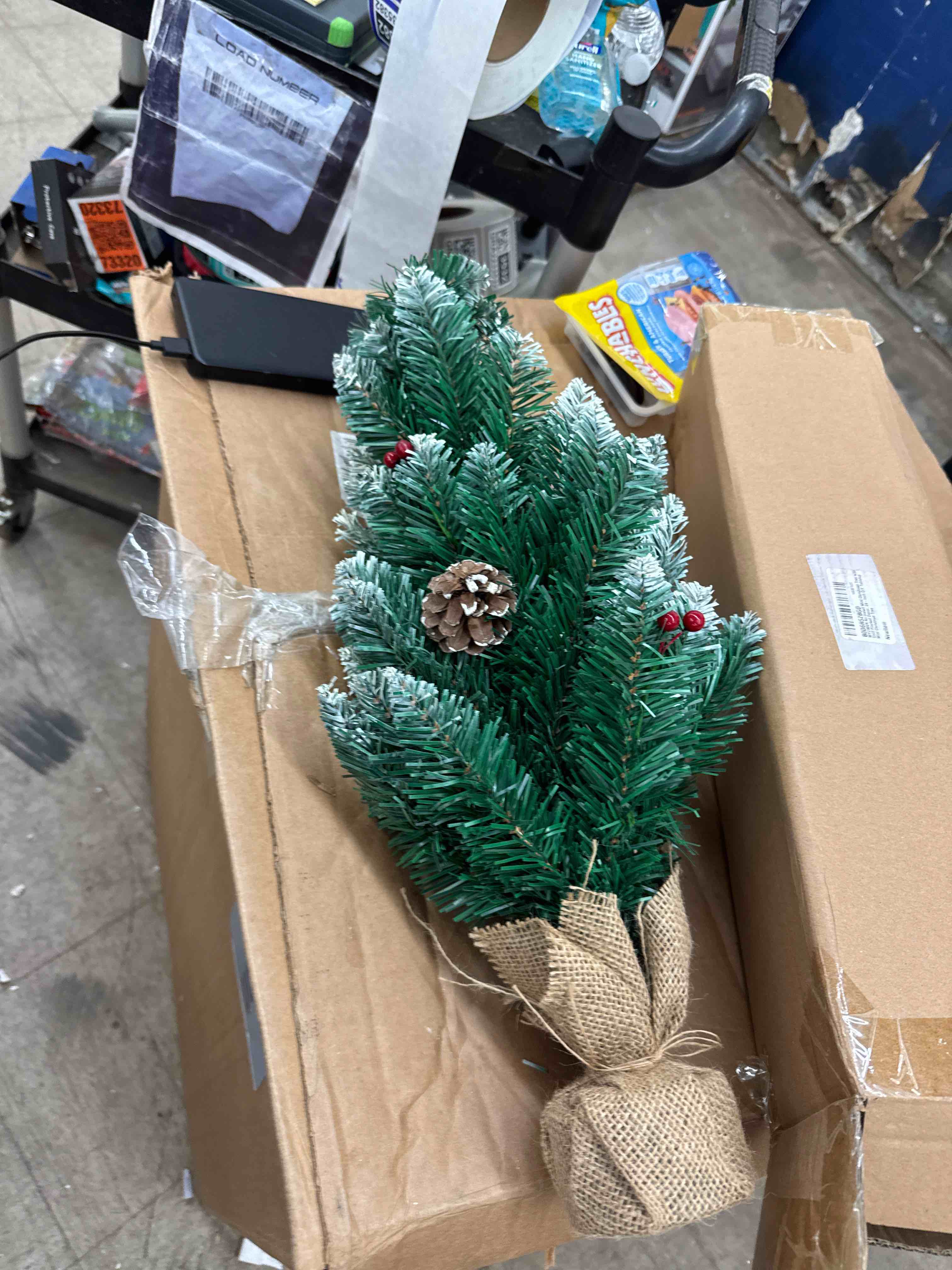 https://s3.amazonaws.com/lotting-images-prod/phillipi/PPE2335376_1748033118579.jpeg