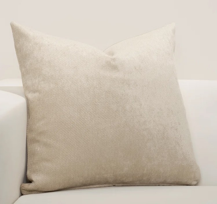 (Set of 2) Pillow cover & insert wayfair