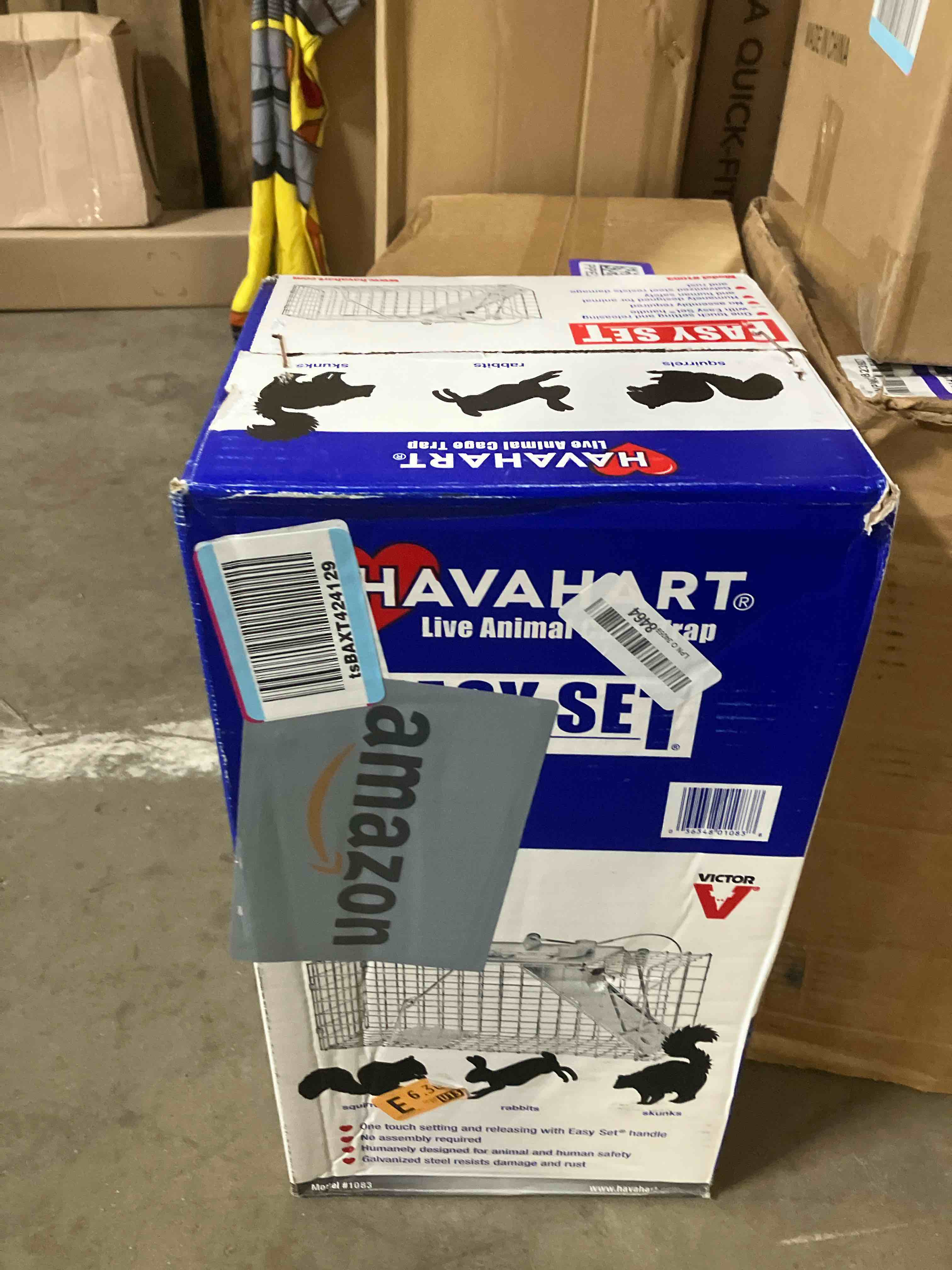 https://s3.amazonaws.com/lotting-images-prod/phillipi/PPE2341361_1752076047133.jpeg