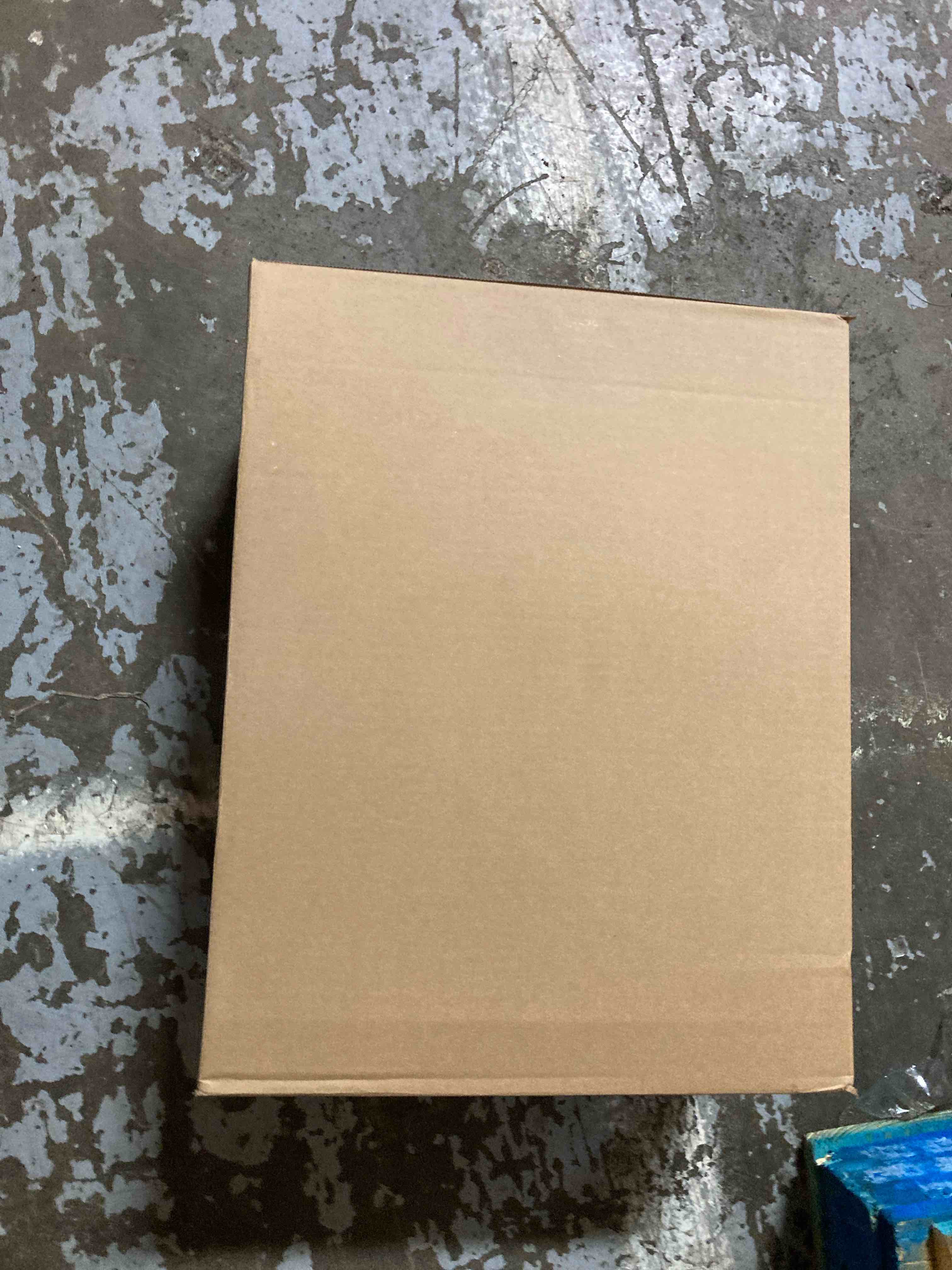 https://s3.amazonaws.com/lotting-images-prod/phillipi/PPE2341453_1752084016275.jpeg