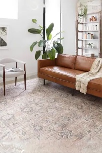 Loloi II Skye Collection SKY-01 BLUSH / GREY, Traditional 9'-0" x 12'-0" Area Rug