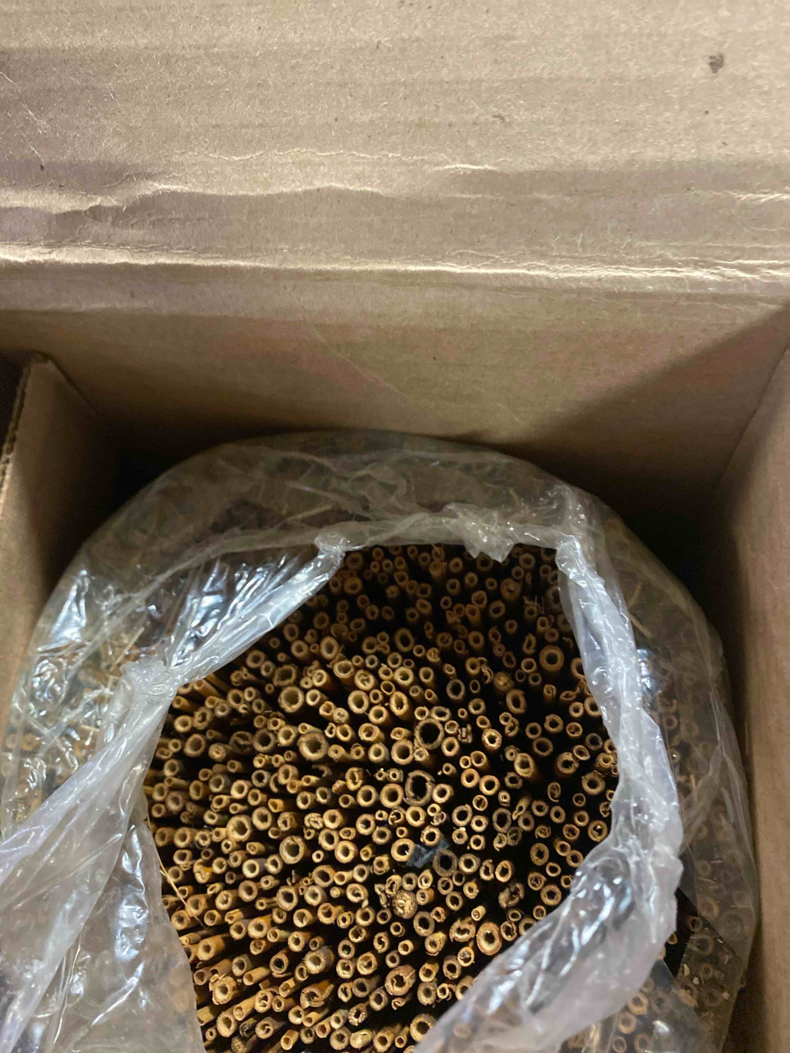 https://s3.amazonaws.com/lotting-images-prod/phillipi/PPE2343715_1752864451847.jpeg