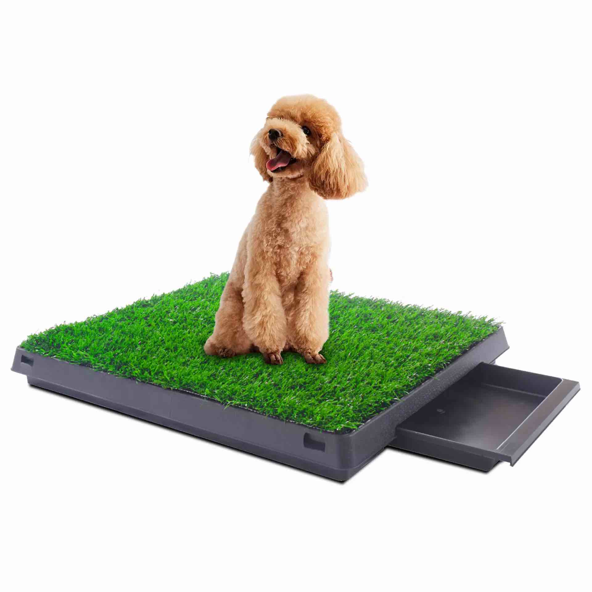 25×20 Artificial Grass For Dogs Potty With Tray, For Small Or Medium Sized Pets