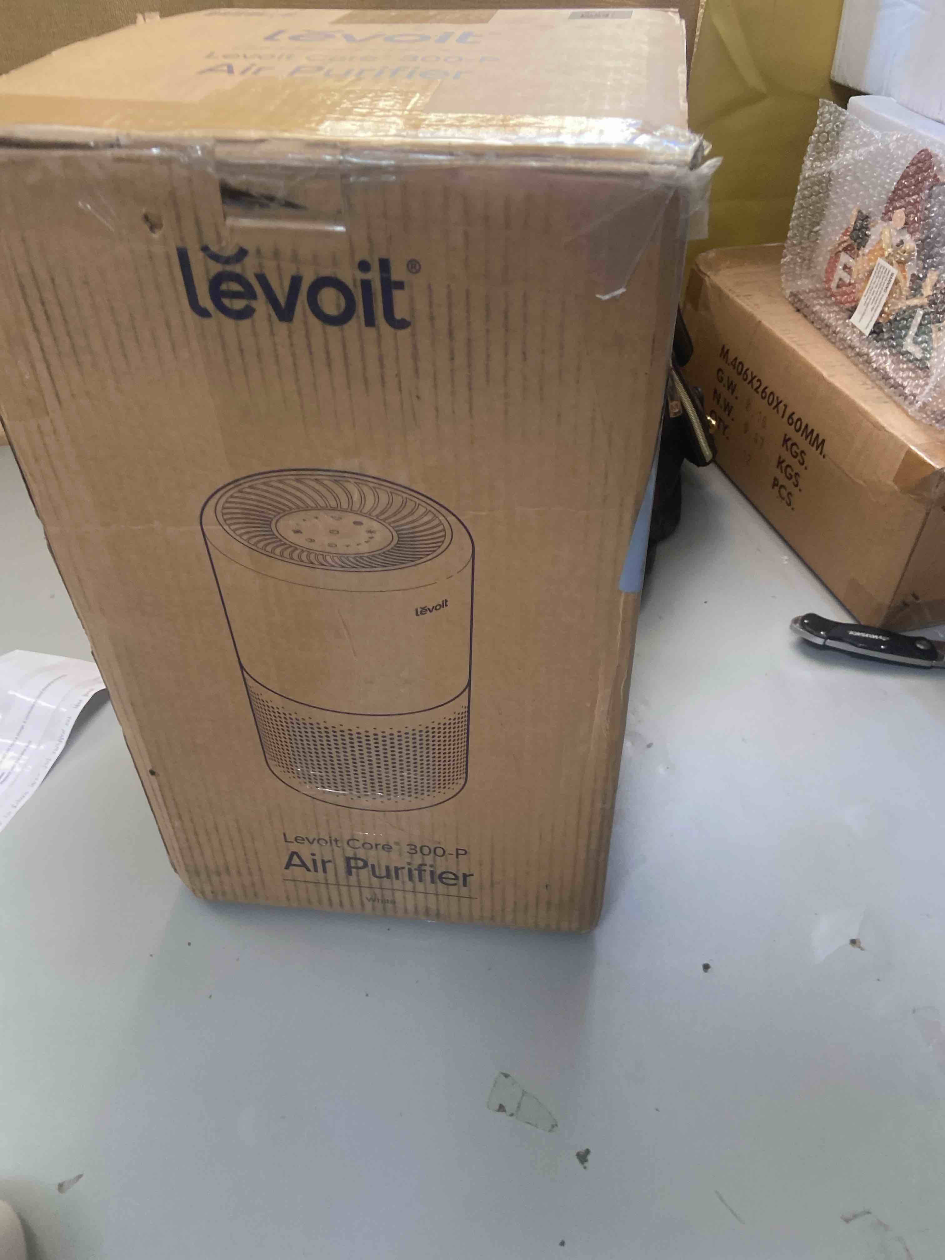 https://s3.amazonaws.com/lotting-images-prod/phillipi/PPE3498572_1760628717293.jpeg