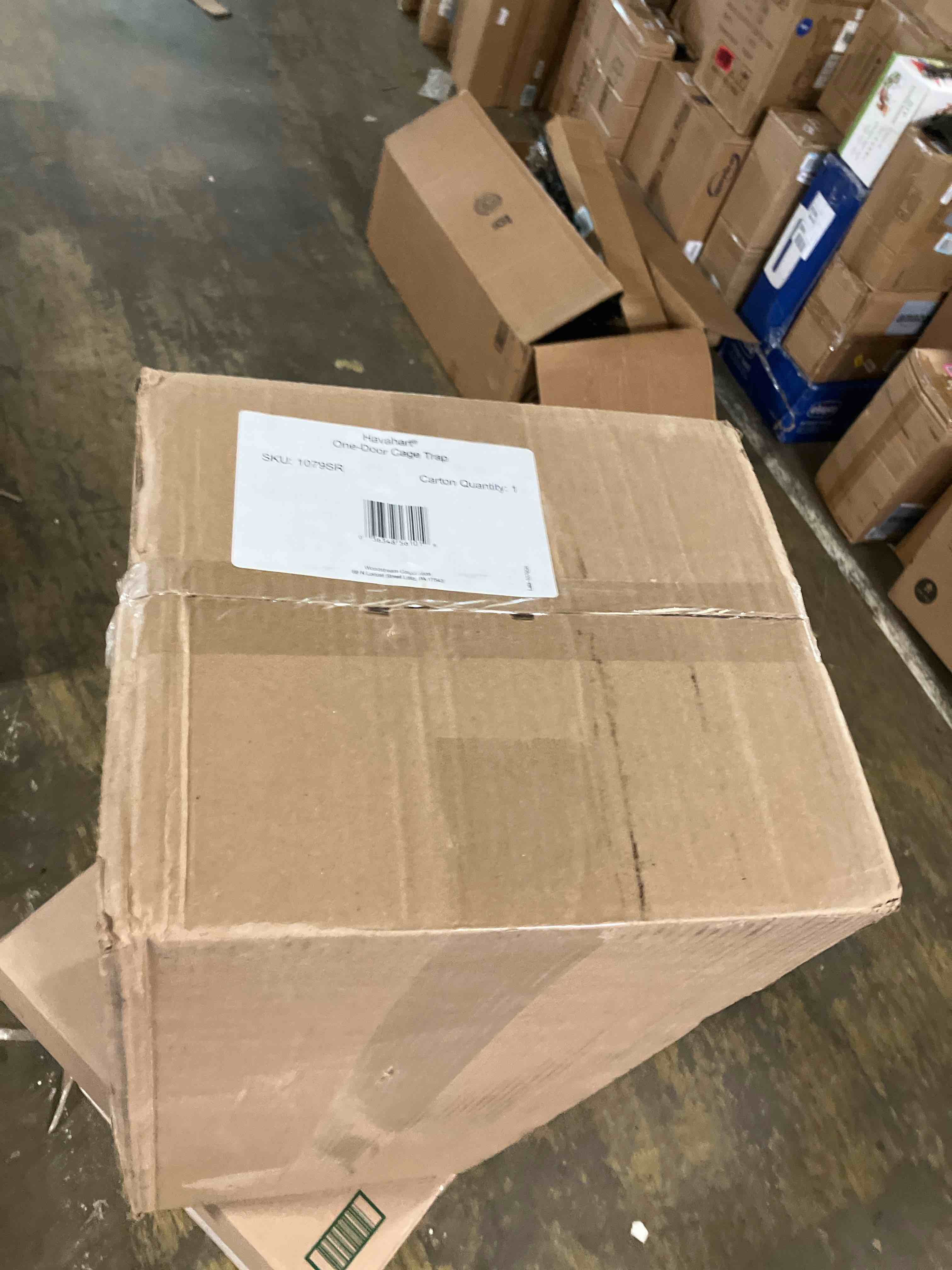 https://s3.amazonaws.com/lotting-images-prod/phillipi/PPE3499928_1753369720370.jpeg