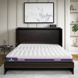 ashby queen cabinet bed with storage drawer, espresso, box 2 of 2