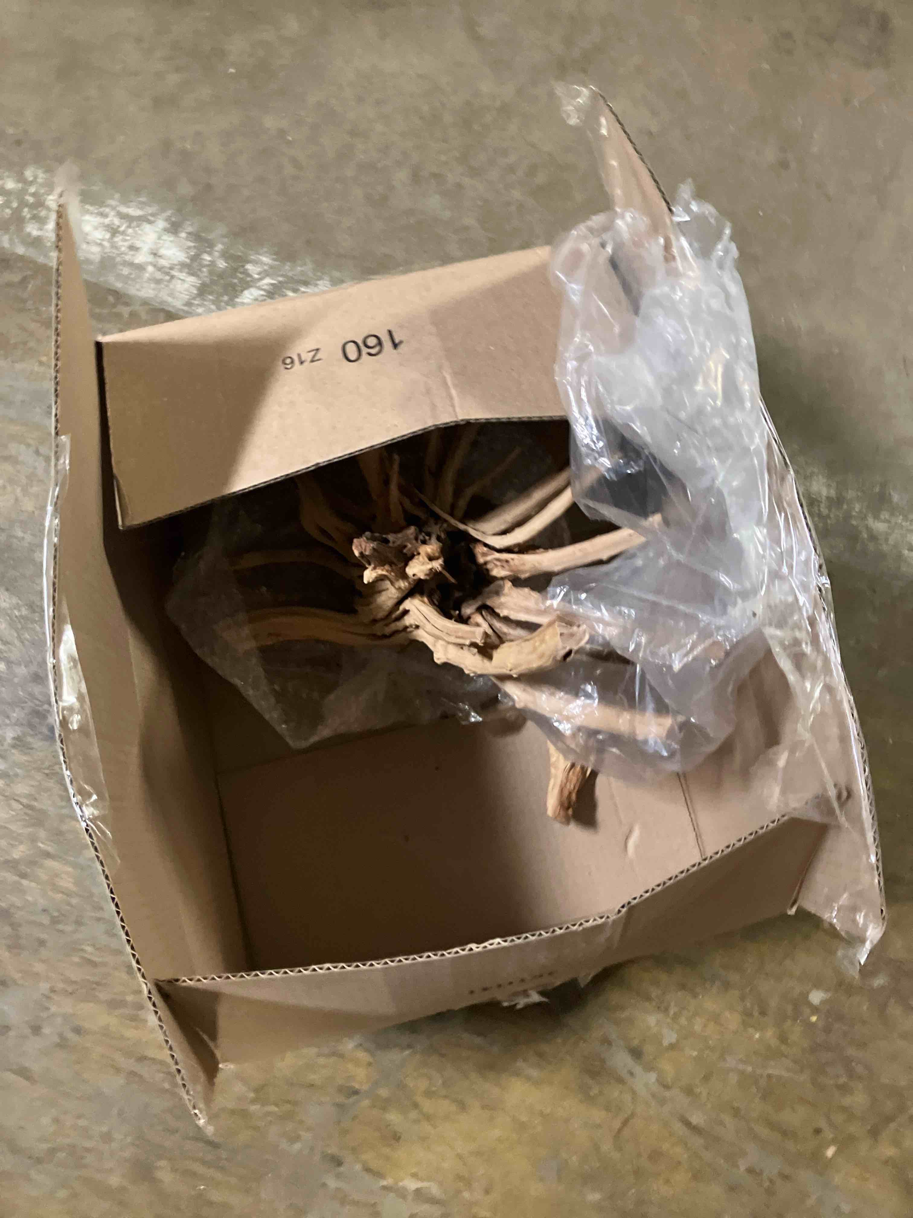 https://s3.amazonaws.com/lotting-images-prod/phillipi/PPE3506095_1755635200645.jpeg