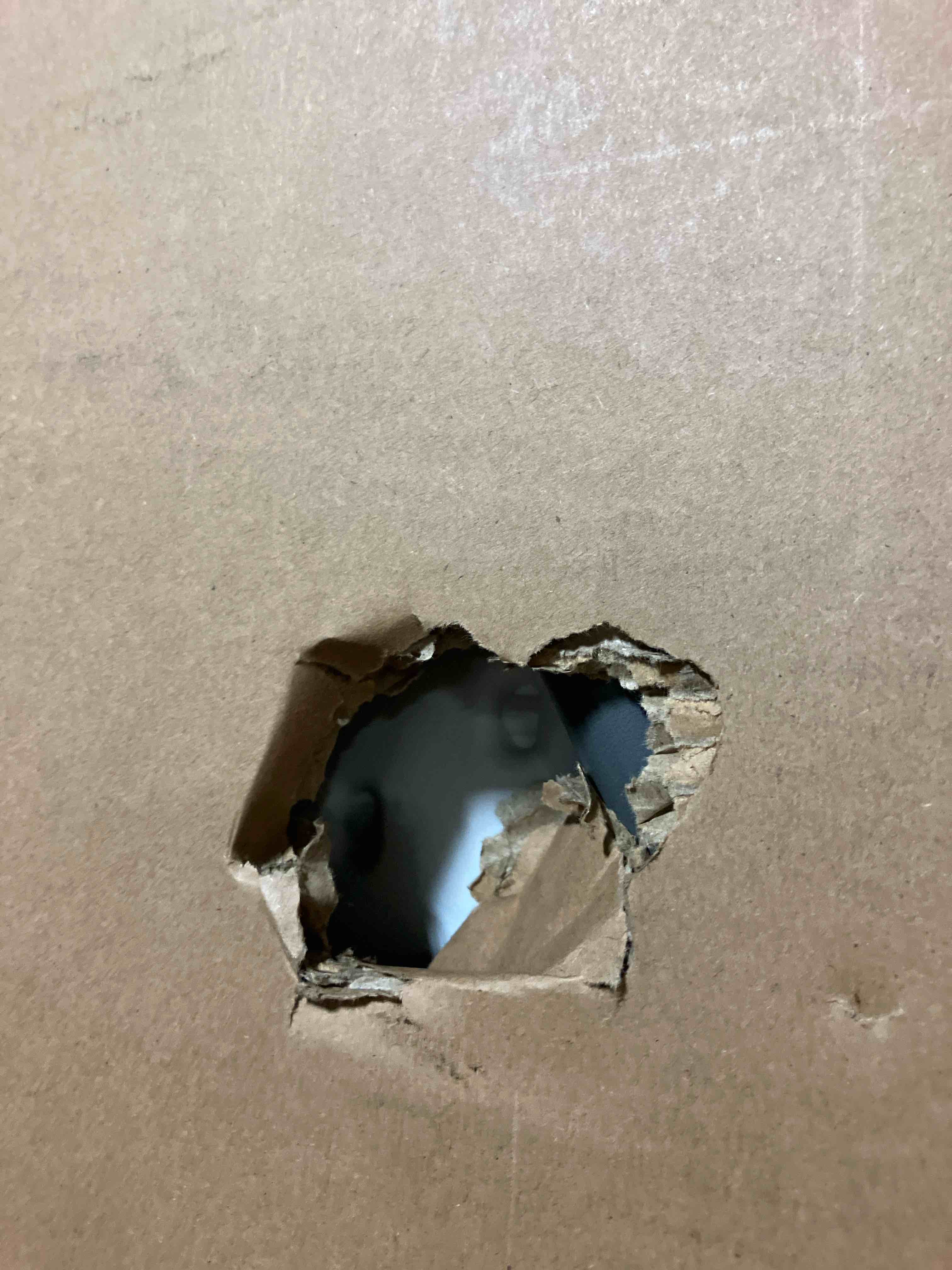 https://s3.amazonaws.com/lotting-images-prod/phillipi/PPE3508301_1758035188997.jpeg