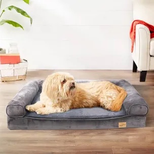 bingo paw pet bed 