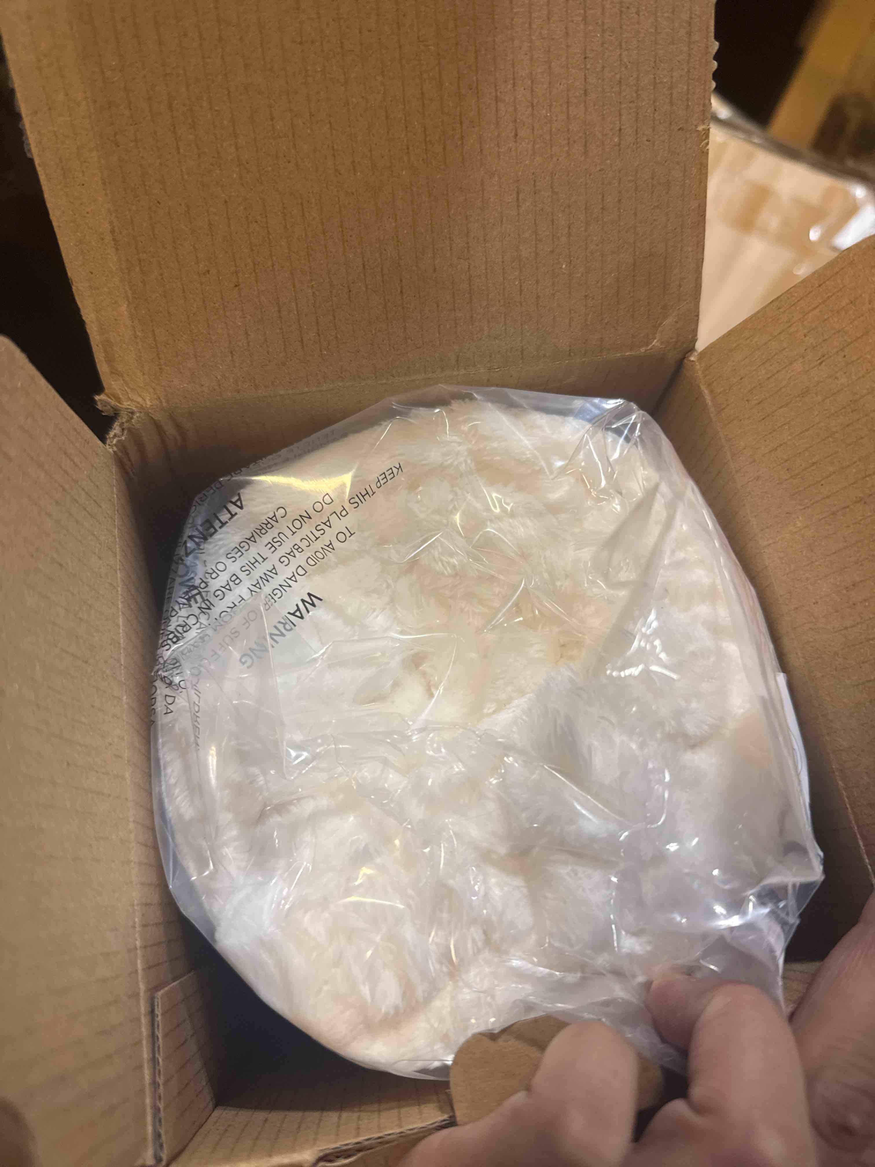 https://s3.amazonaws.com/lotting-images-prod/phillipi/PPE3512831_1760467870651.jpeg