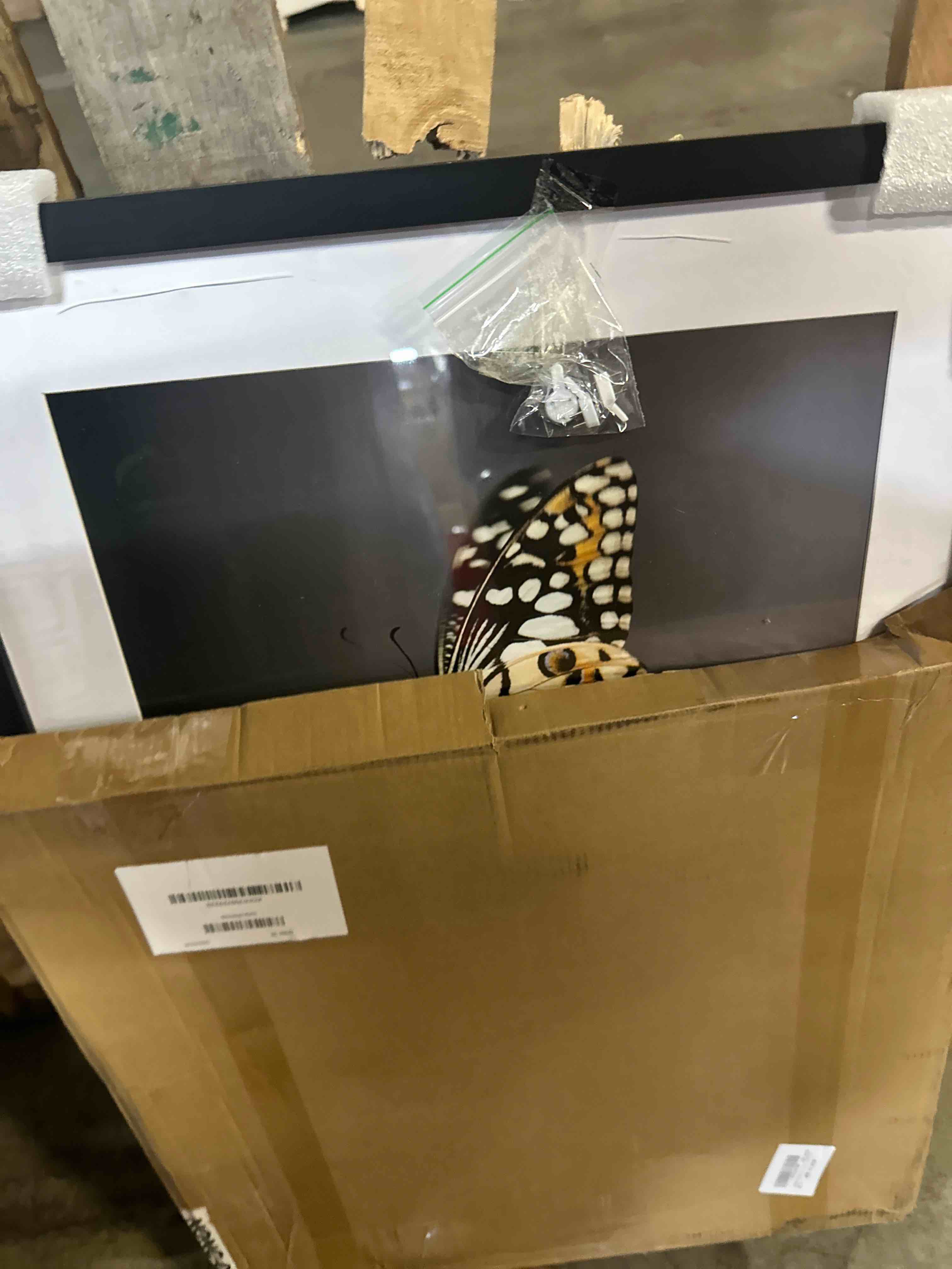 https://s3.amazonaws.com/lotting-images-prod/phillipi/PPE3513023_1760709217129.jpeg