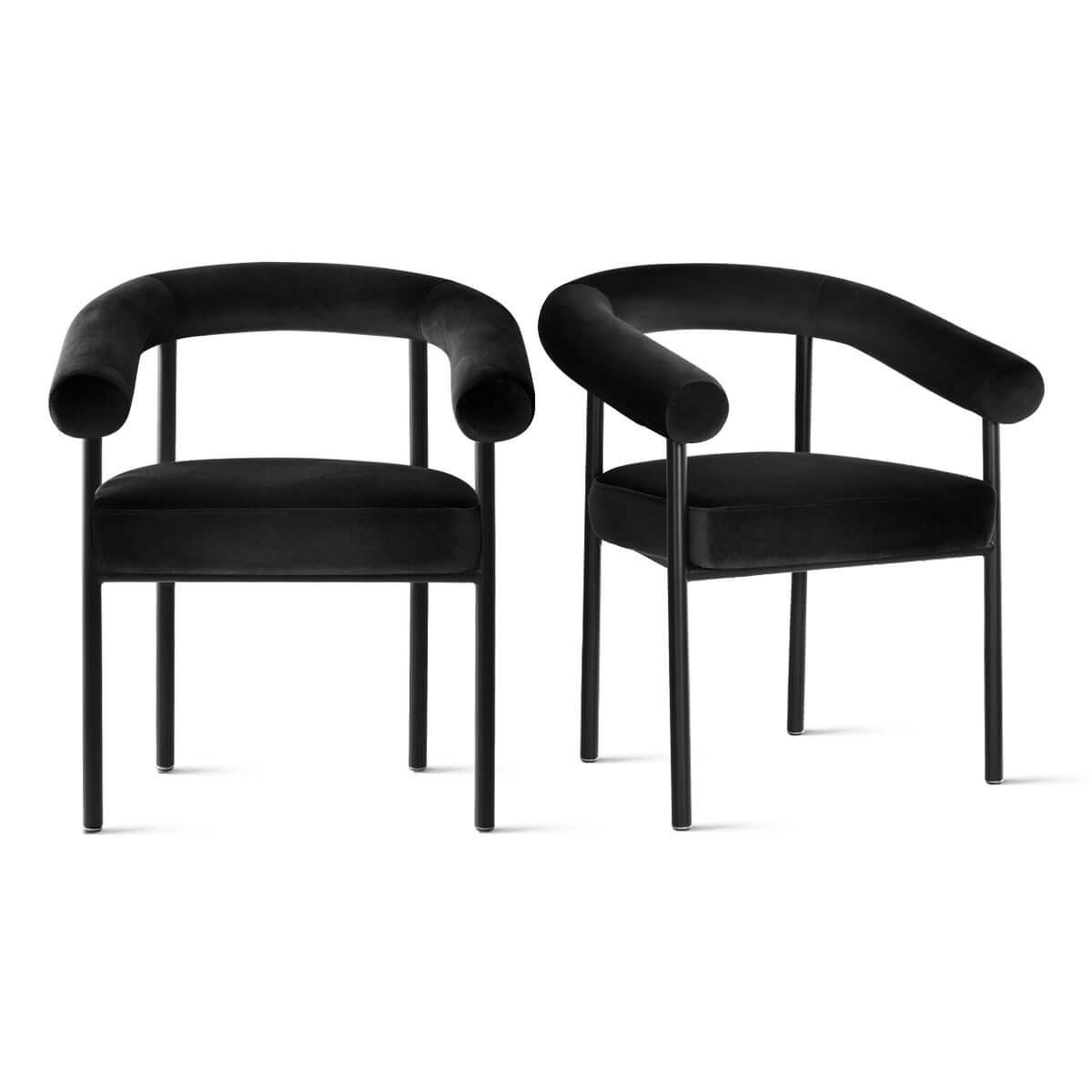Dining Chairs Set of 2 with Arms