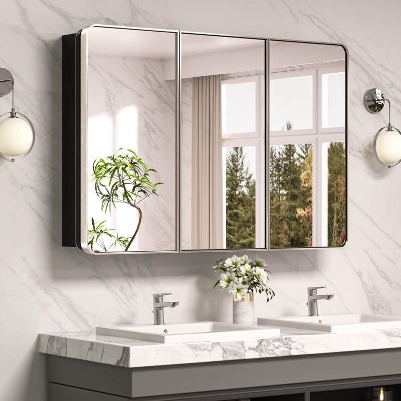 Gervon Rectangle Recessed or Surface Medicine Cabinet with Shelves and Mirror By Orren Ellis