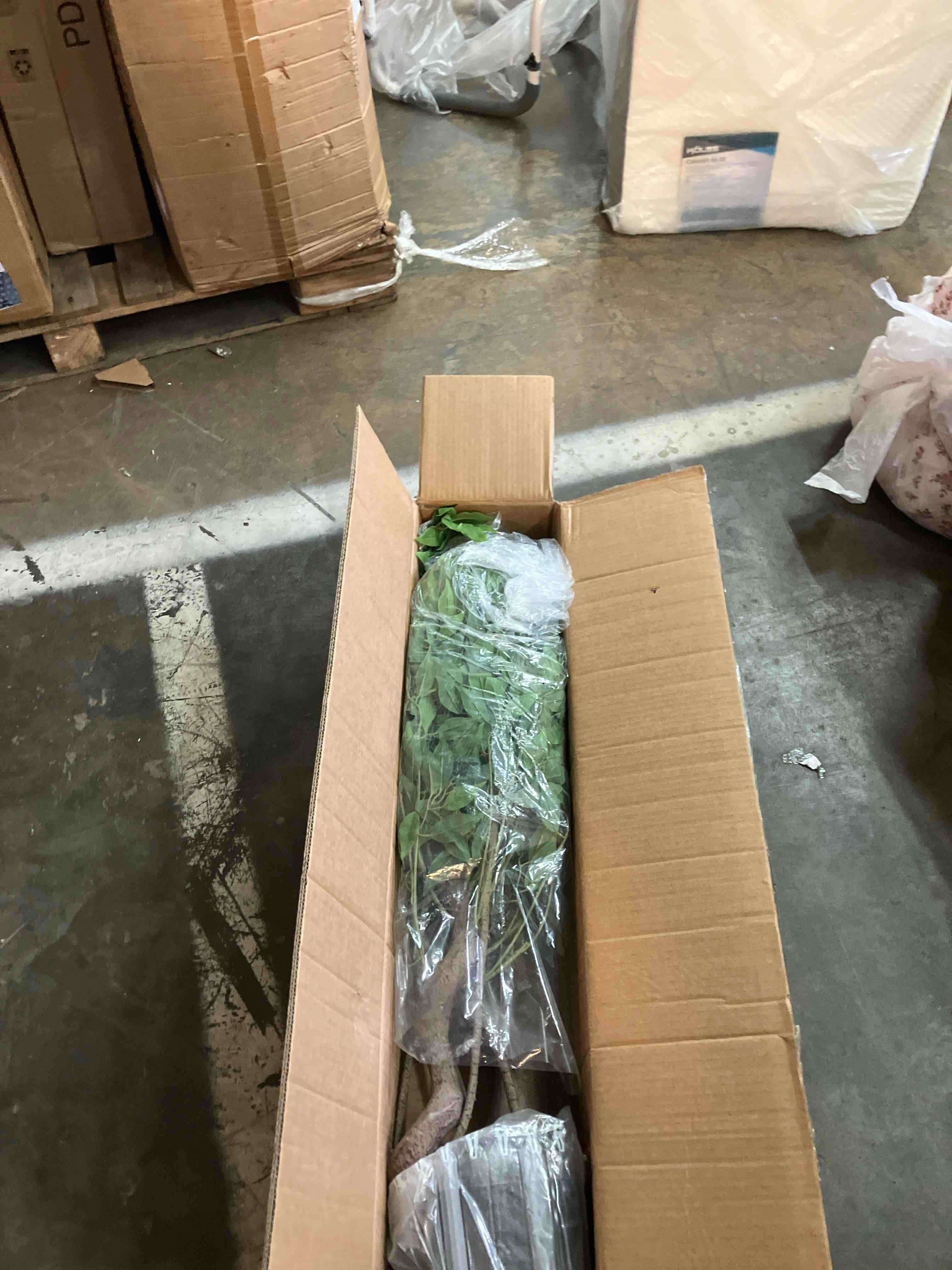 https://s3.amazonaws.com/lotting-images-prod/phillipi/PPE3514661_1760968480509.jpeg