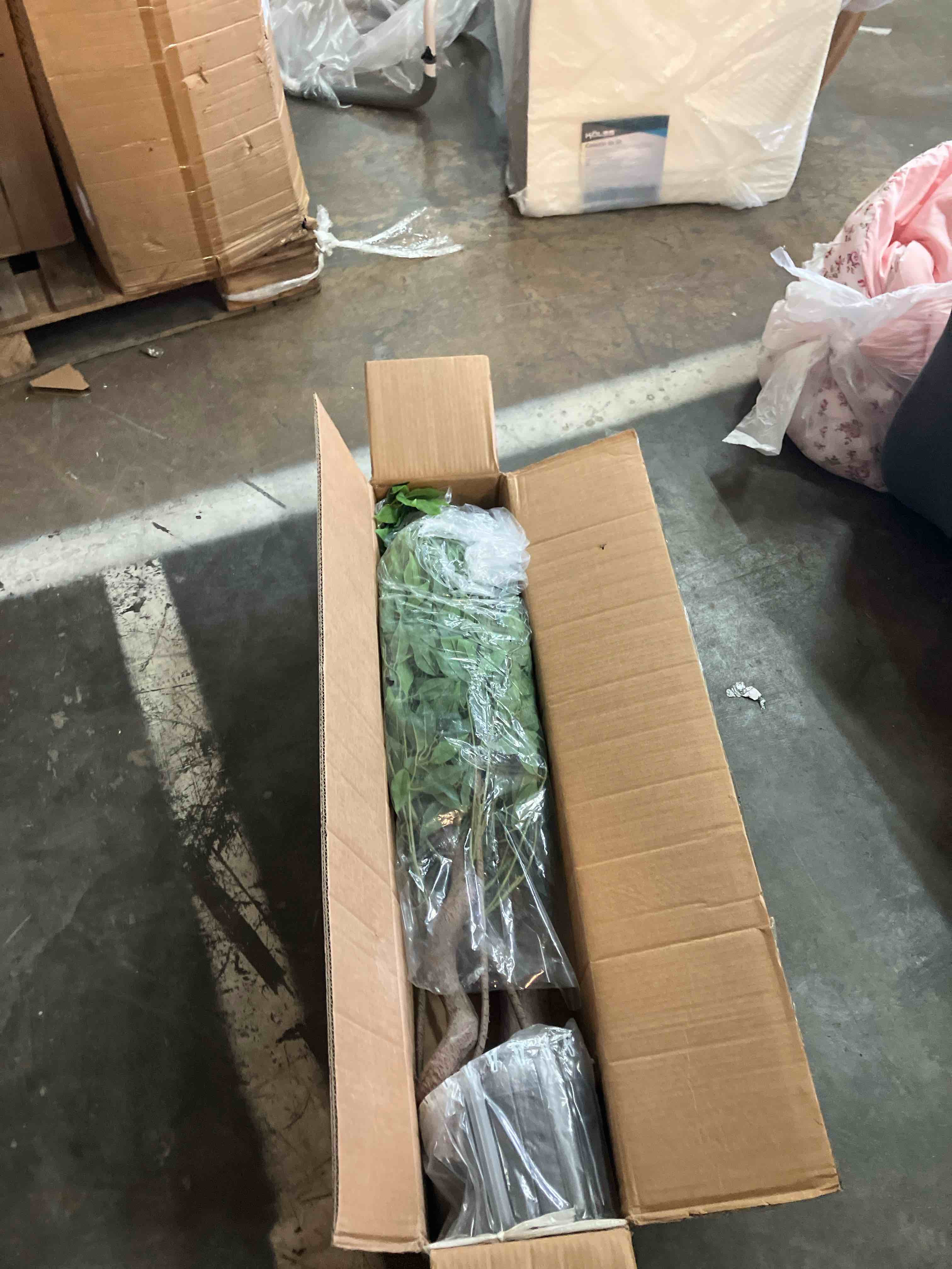 https://s3.amazonaws.com/lotting-images-prod/phillipi/PPE3514661_1760968520755.jpeg