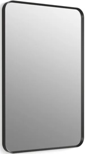 Essential 24" W x 36" H Transitional Rectangular Metal Framed Bathroom Wall Mirror