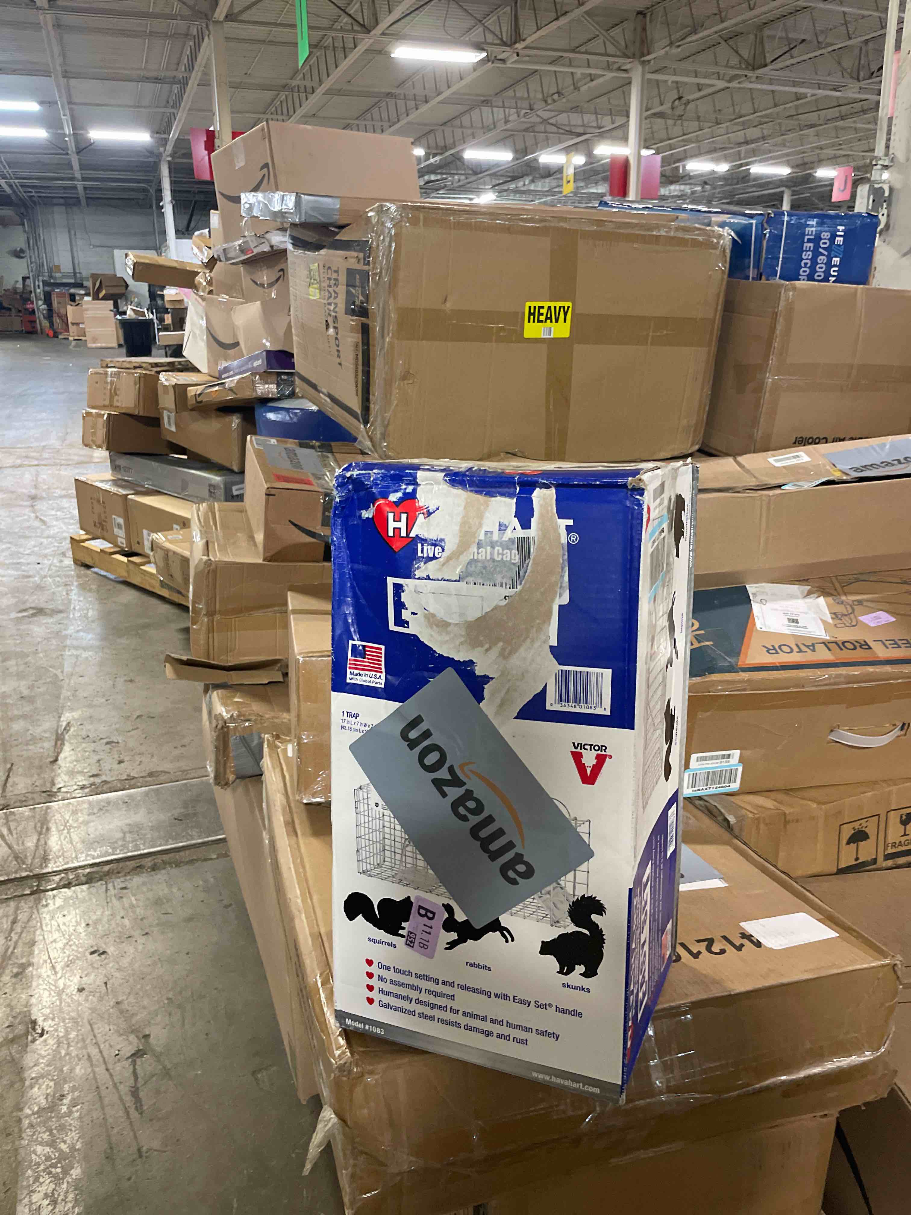 https://s3.amazonaws.com/lotting-images-prod/phillipi/PPE3518734_1759925656656.jpeg