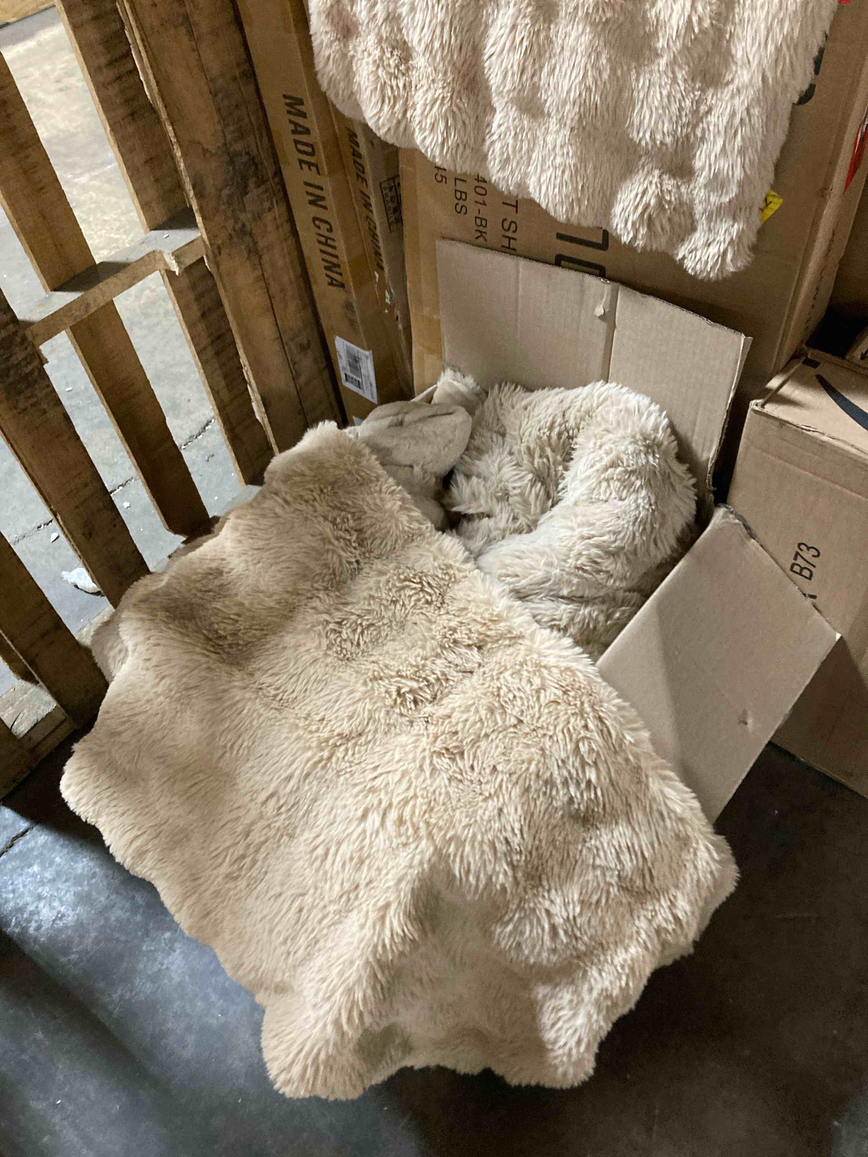 https://s3.amazonaws.com/lotting-images-prod/phillipi/PPE3519023_1760555189447.jpeg