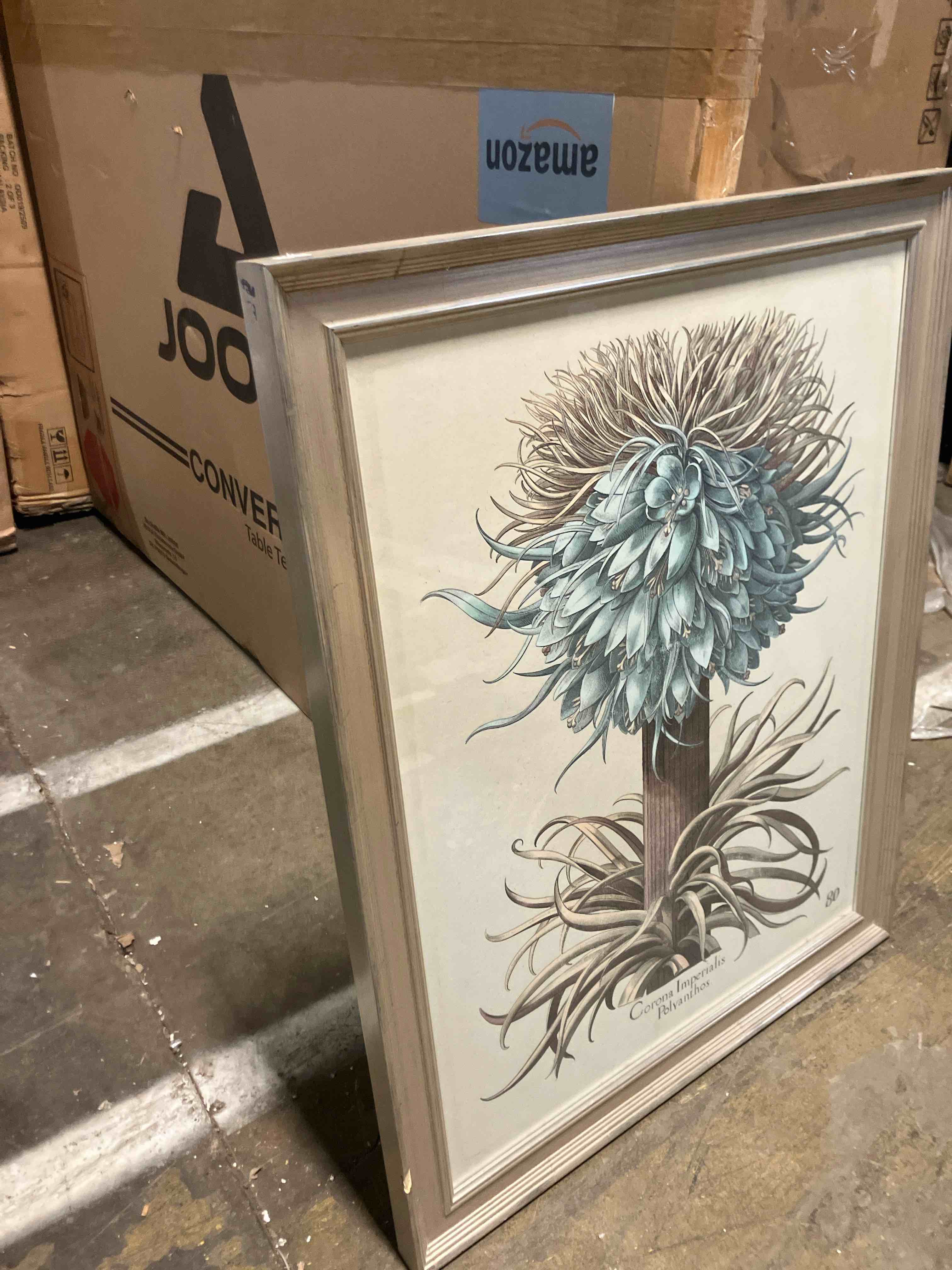 Condition photo showing As Is for 36”x24” corona imperialis polvanthos, (has chip on frame)