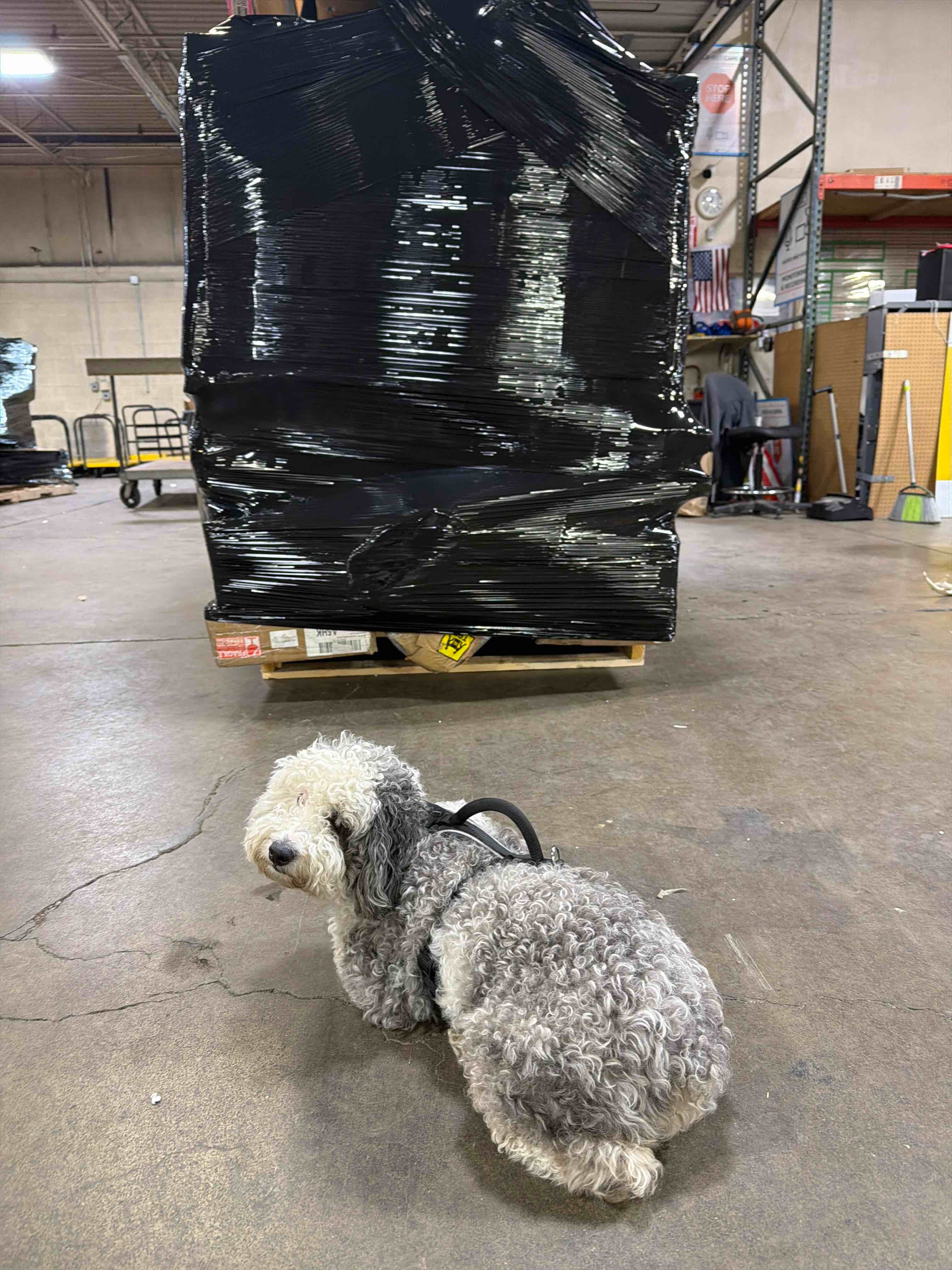 https://s3.amazonaws.com/lotting-images-prod/phillipi/PPE3764732_1777743377205.jpeg