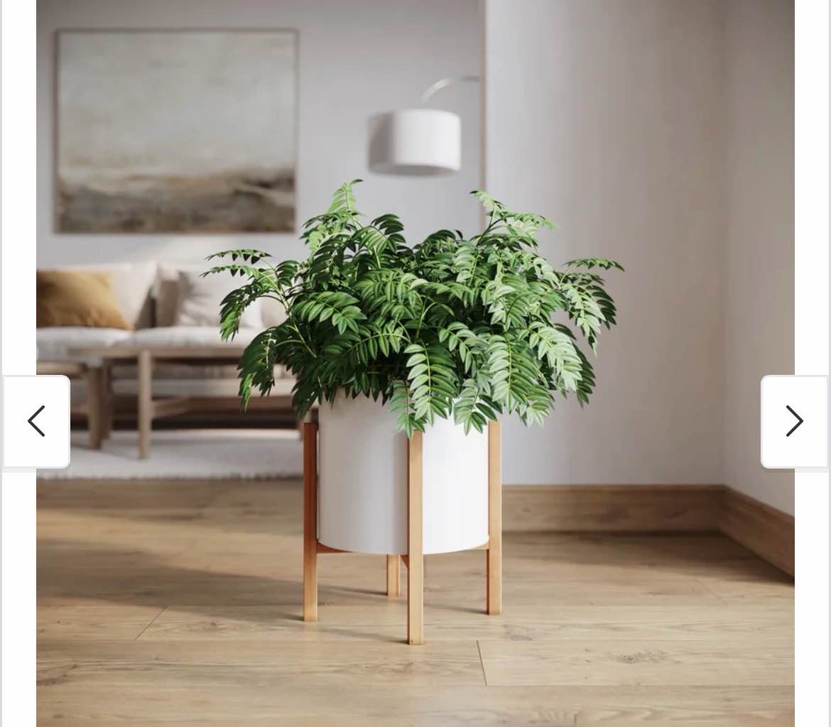 raya white mid-century modern planter with 4-leg wood base - 14.75" h x 12" w - white