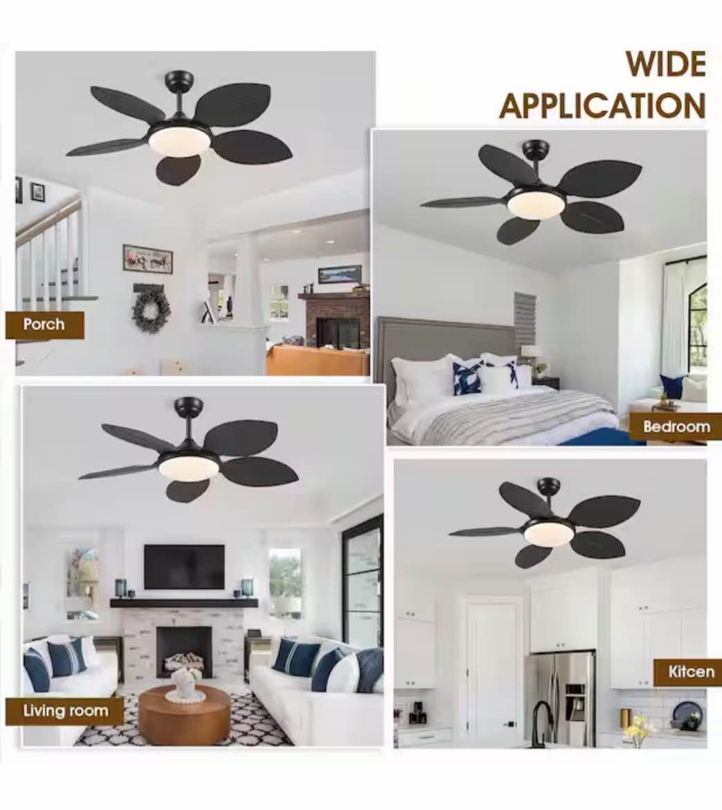 Condition photo showing New/Like New for 48 in. indoor/outdoor black retro 5 palm leaf shaped blades ceiling fan