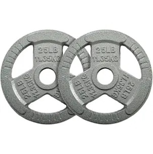 25LB Weight plates 