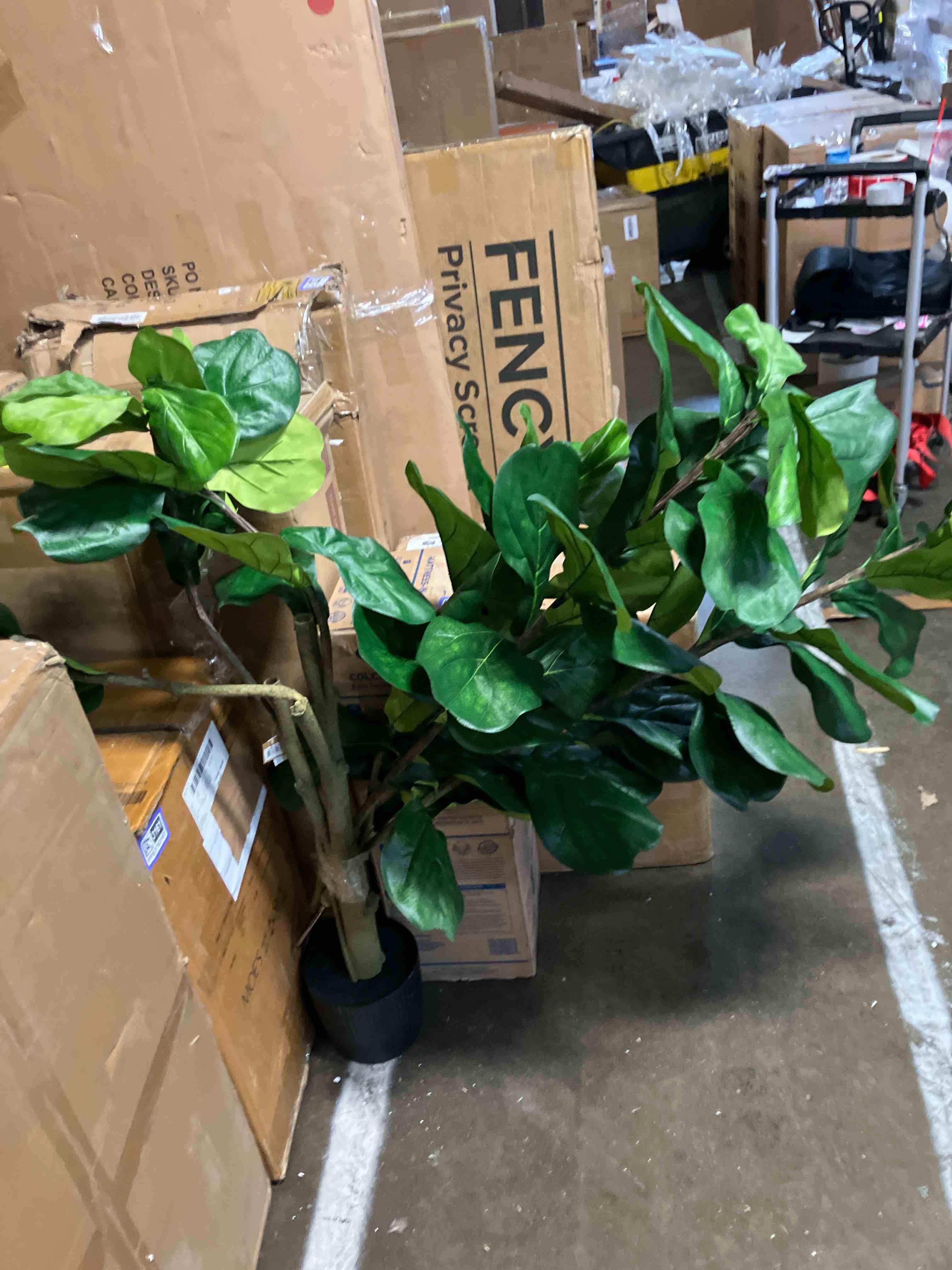 Condition photo showing New/Like New for fiddle leaf fig tree 6ft tall artificial tree in plastic pot fake ficus lyrata plants with 184 decorative fiddle leaves faux fig trees for home office living room decor indoor outdoor