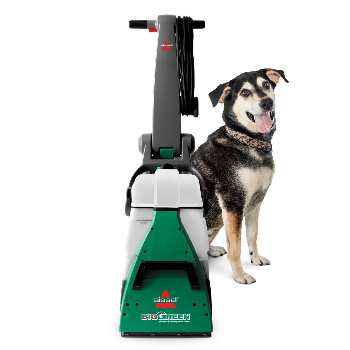 bissell big green professional carpet cleaner with 8-row xl dirtlifter powerbrush, 6" tough stain tool and 9" long reach hose (in box) 42.25'' h x 11'' w x 20.5'' d