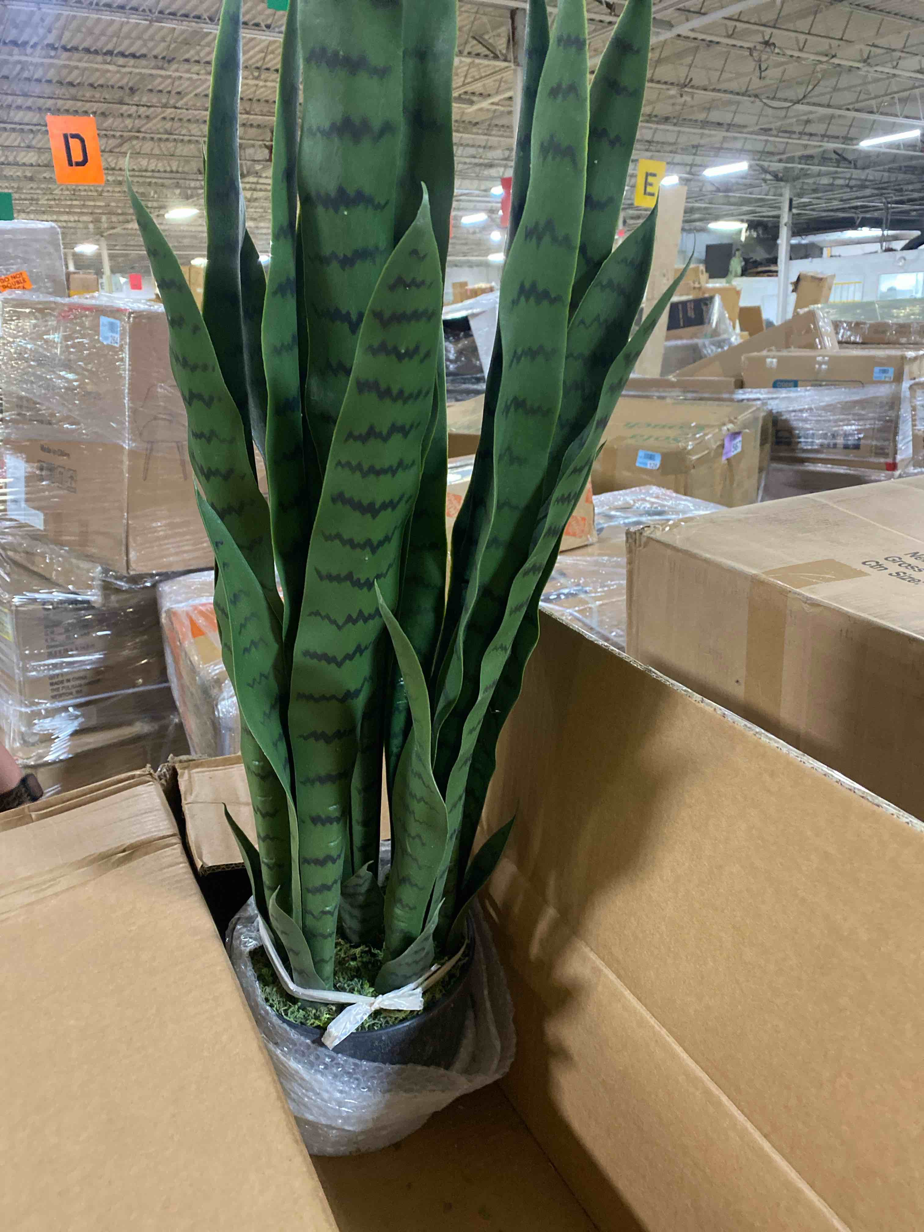 https://s3.amazonaws.com/lotting-images-prod/phillipi/PPE5038220_1779804167563.jpeg