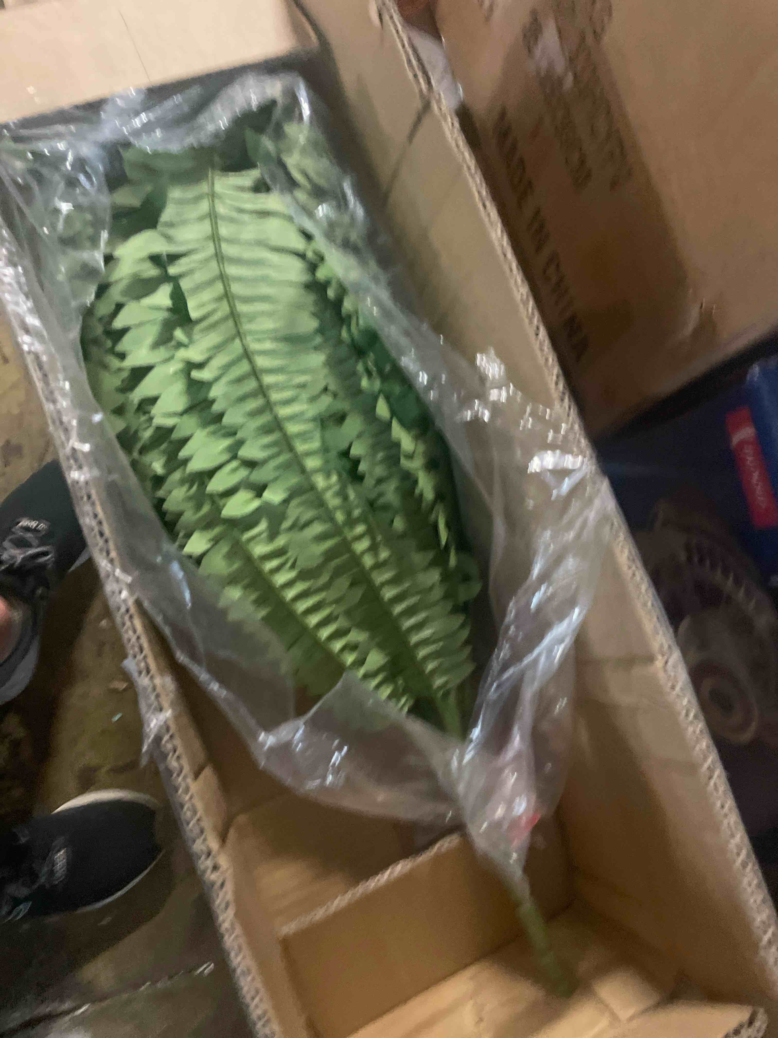 Condition photo showing New/Like New for vevor artificial ferns 1pcs, 47 inch artificial boston ferns plants, faux fern with 88 branches, artificial plants large for outdoors/indoor home, office,garden (flowerpot unincluded) 1 pcs 48 inch?88 branches?