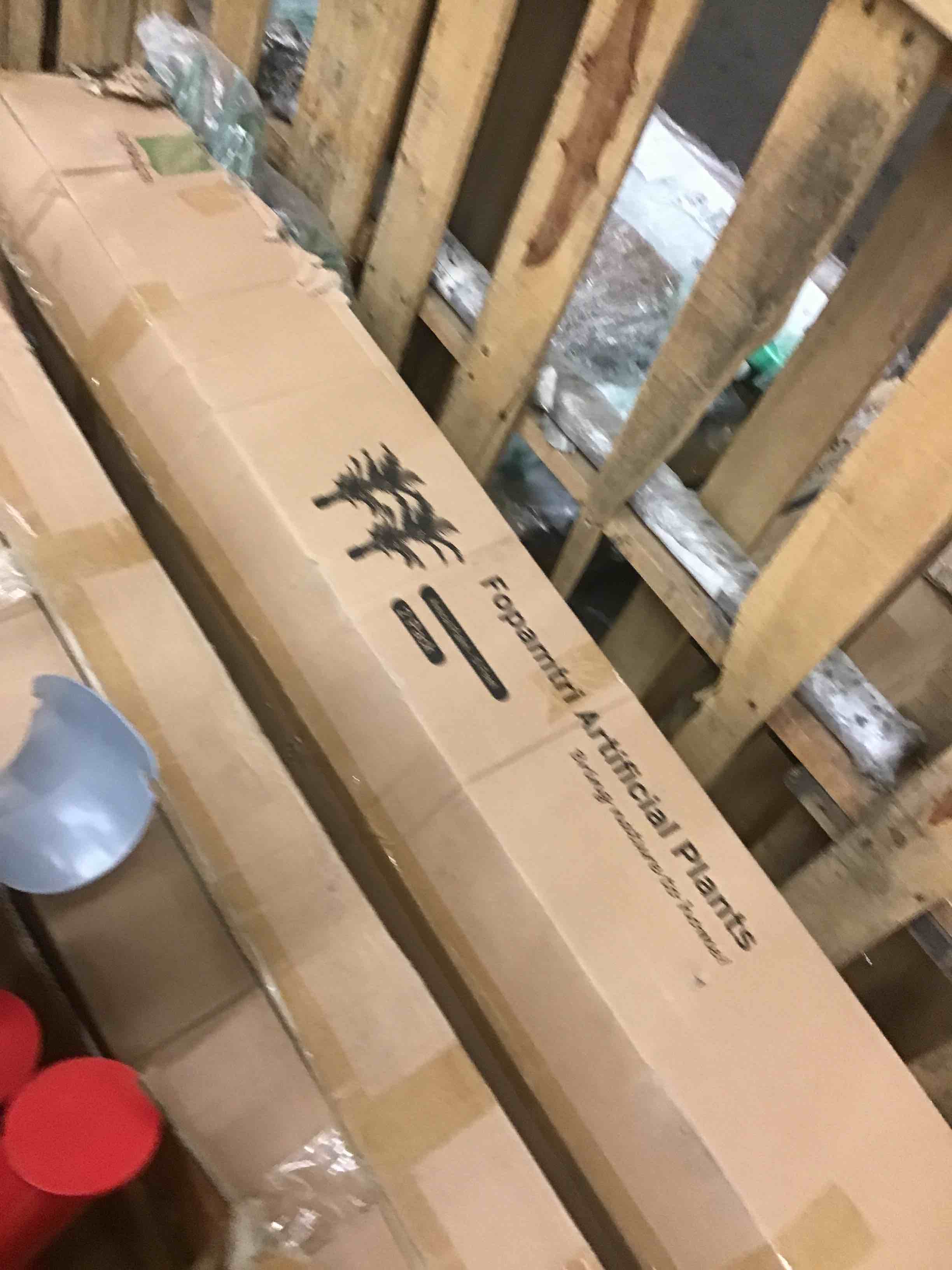 https://s3.amazonaws.com/lotting-images-prod/phillipi/RED4127533_1690403801794.jpeg