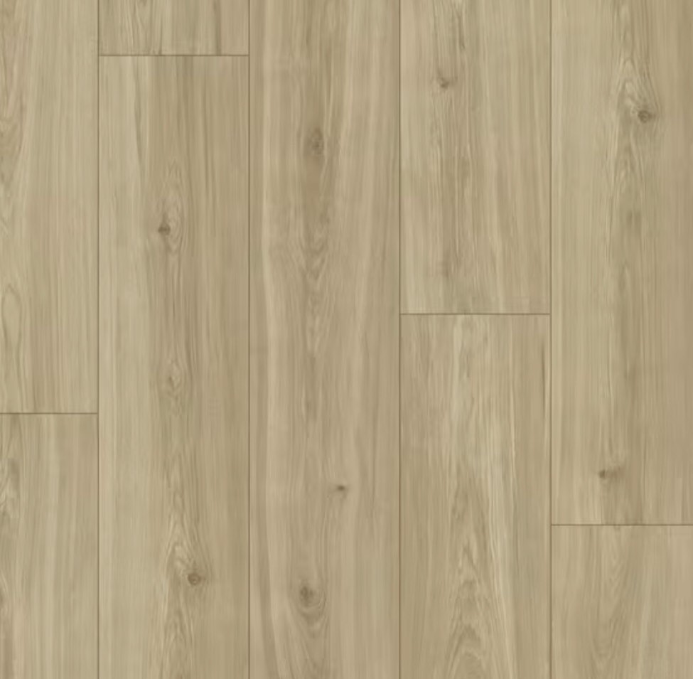 https://s3.amazonaws.com/lotting-images-prod/phillipi/RED4753687_1701200699461.jpeg