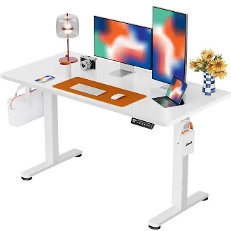 ErGear Height Adjustable Electric Standing Desk, 48 x 24 Inches Sit Stand up Desk, Memory Computer Home Office Desk (White)