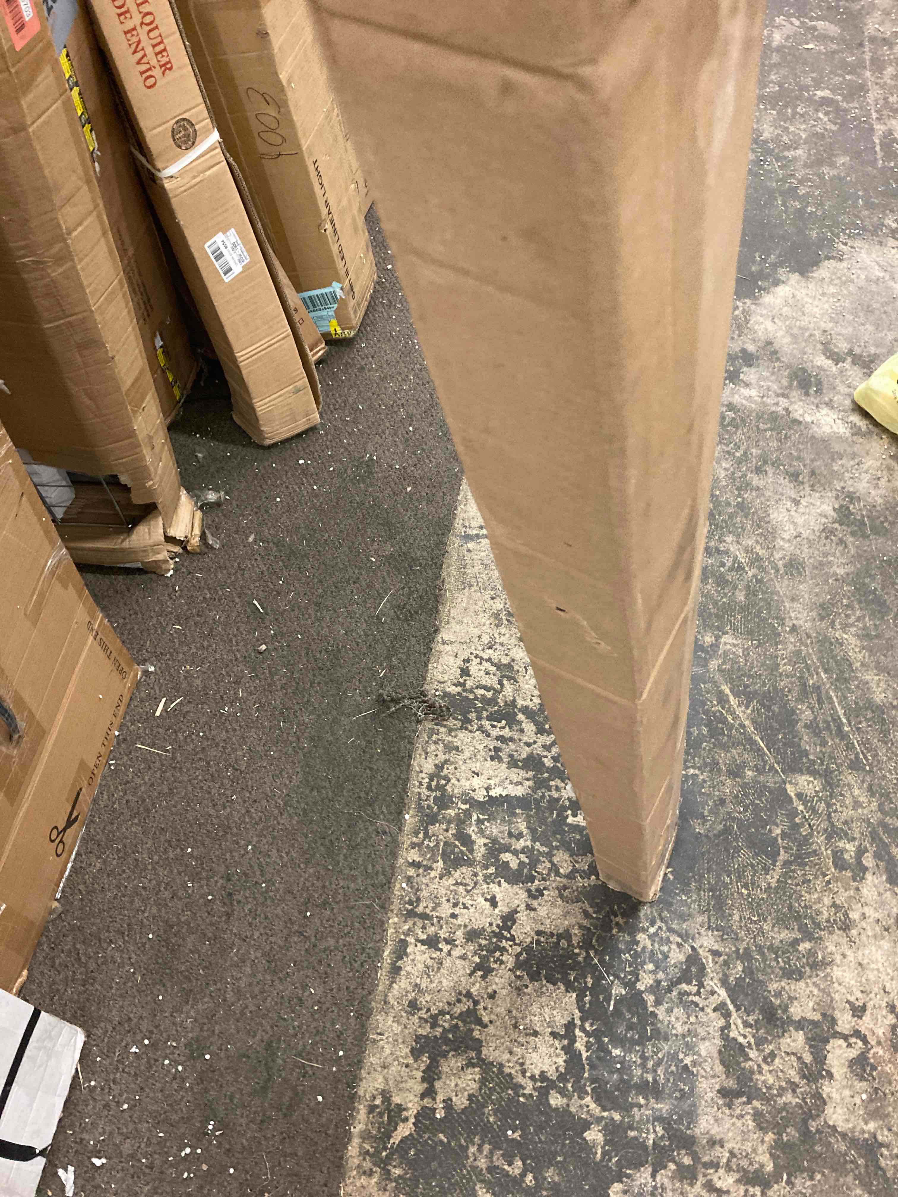 https://s3.amazonaws.com/lotting-images-prod/phillipi/RED5003678_1701889894984.jpeg