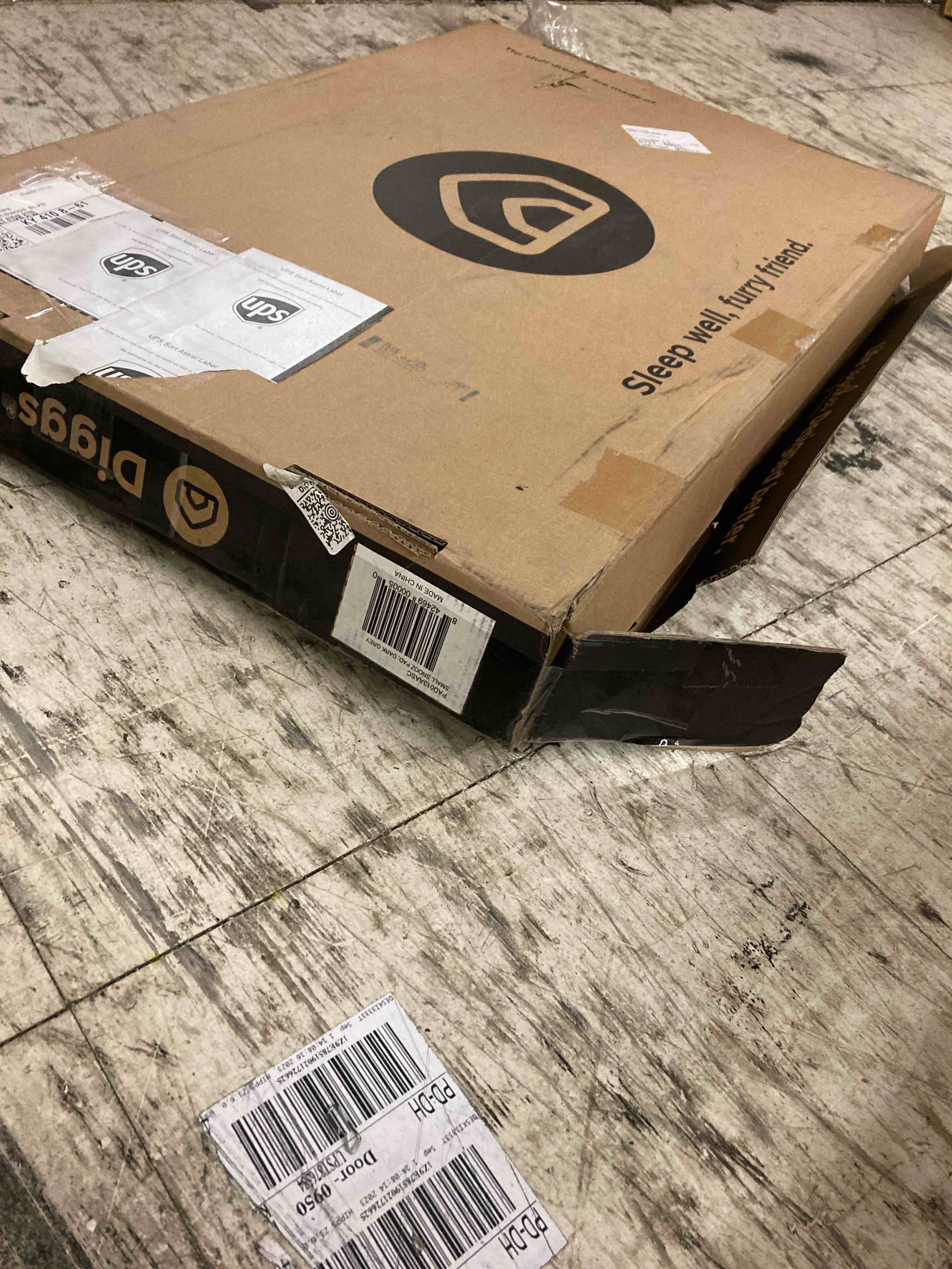 https://s3.amazonaws.com/lotting-images-prod/phillipi/RED5003685_1701889298624.jpeg