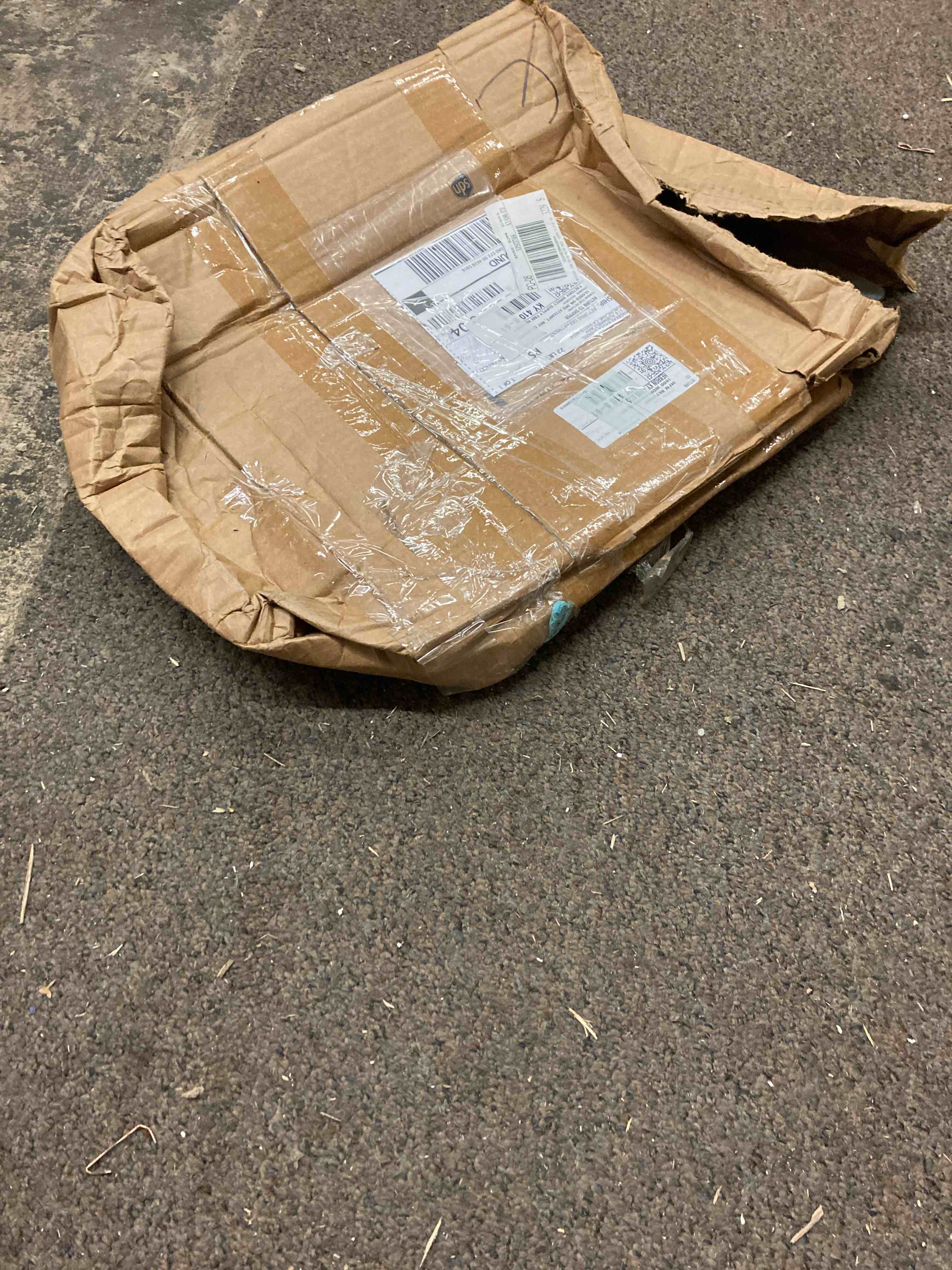 https://s3.amazonaws.com/lotting-images-prod/phillipi/RED5003686_1701889161388.jpeg